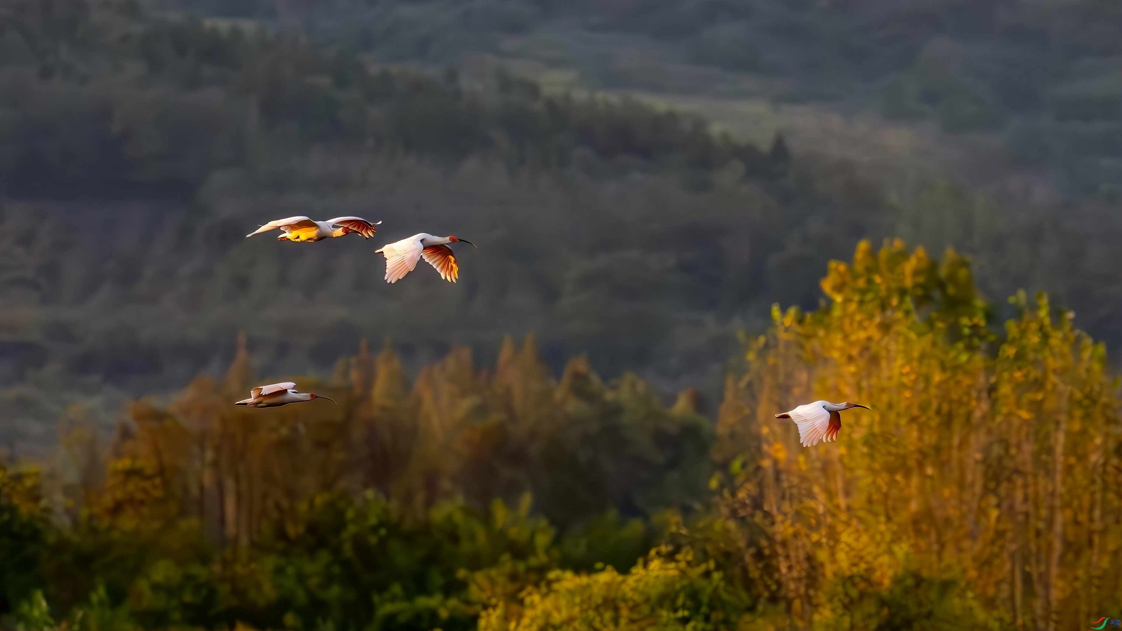 _DSC3705 26.10.jpg