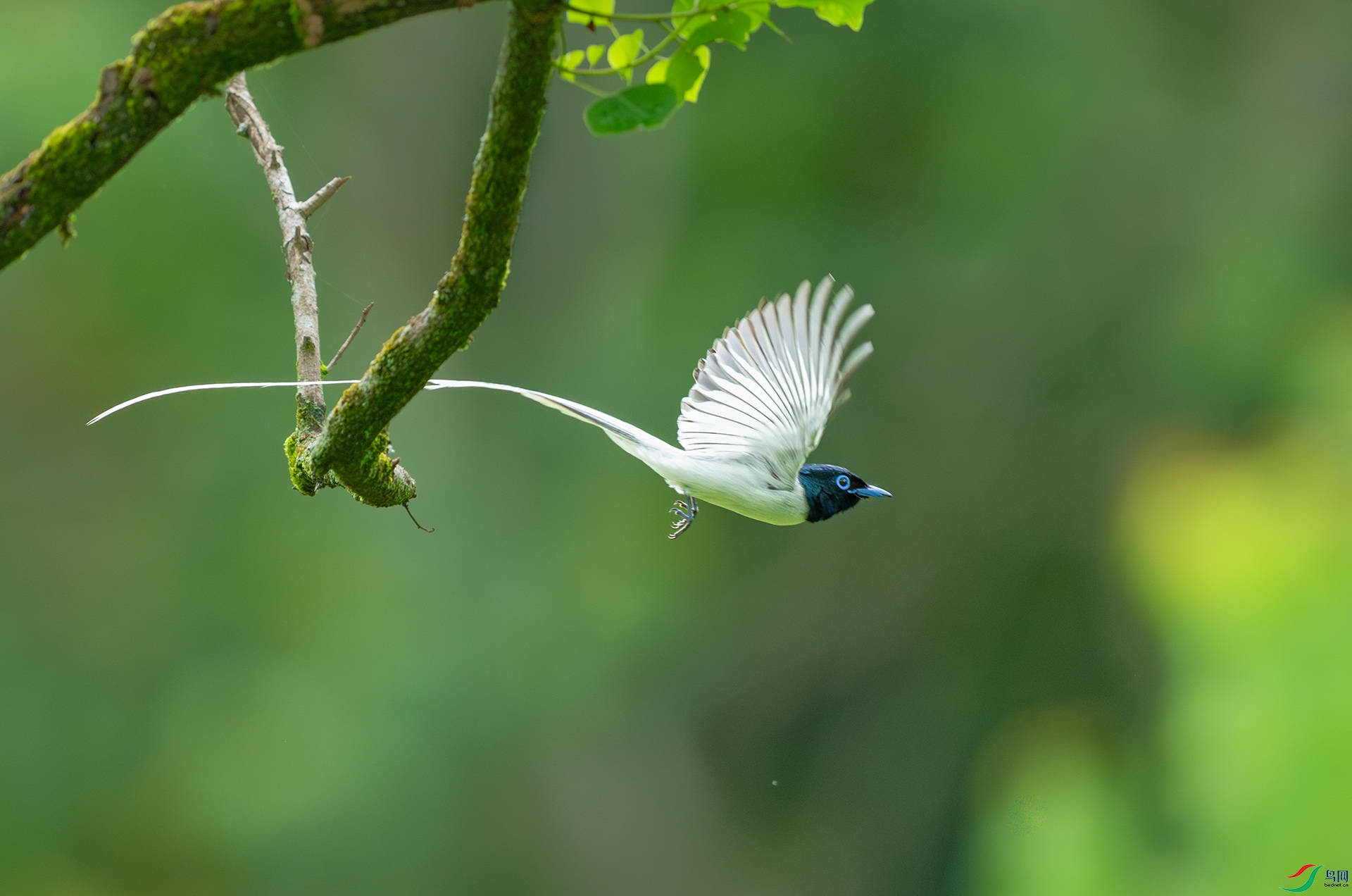 DSC_7063.jpg