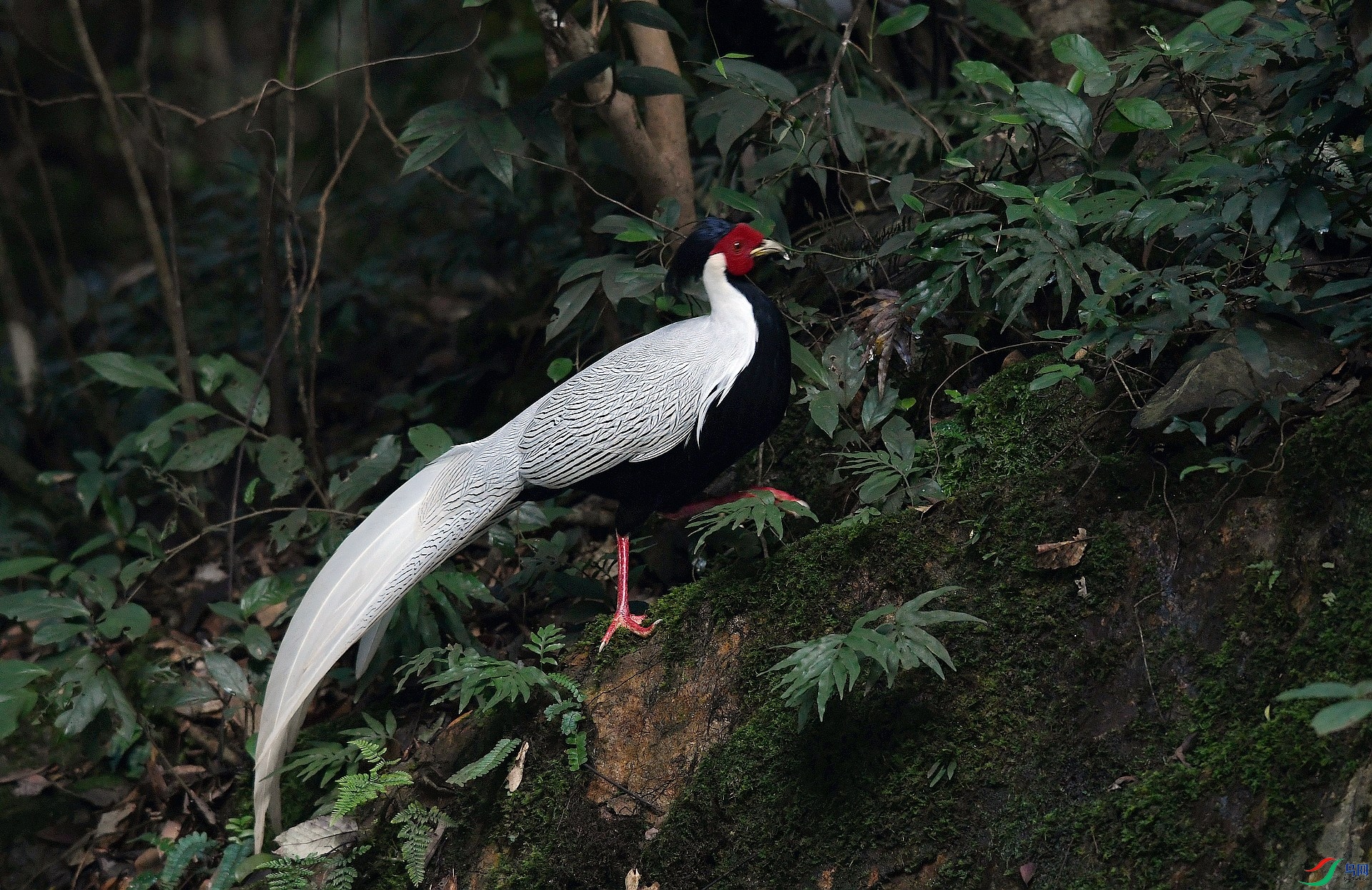 DSC_8596.jpg