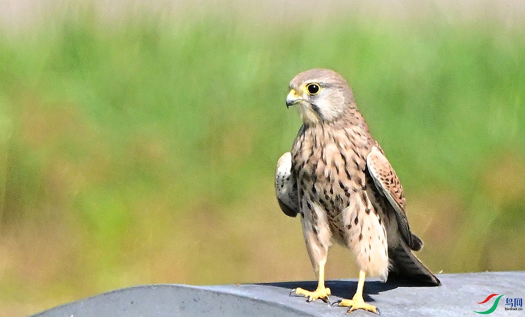 DSC_3888.JPG