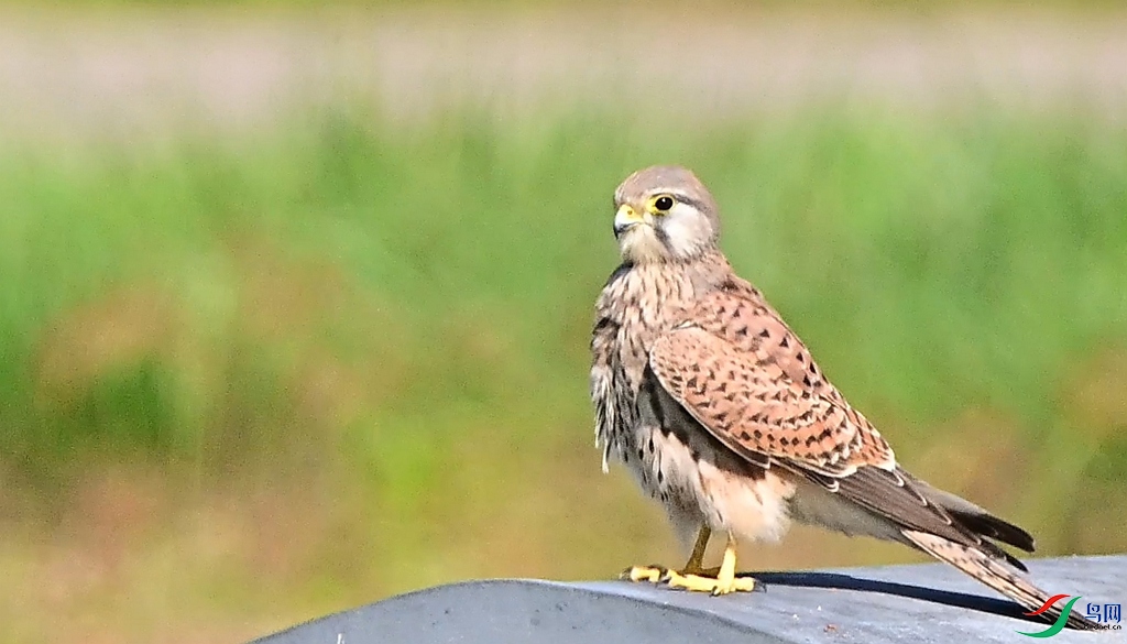 DSC_3963.JPG