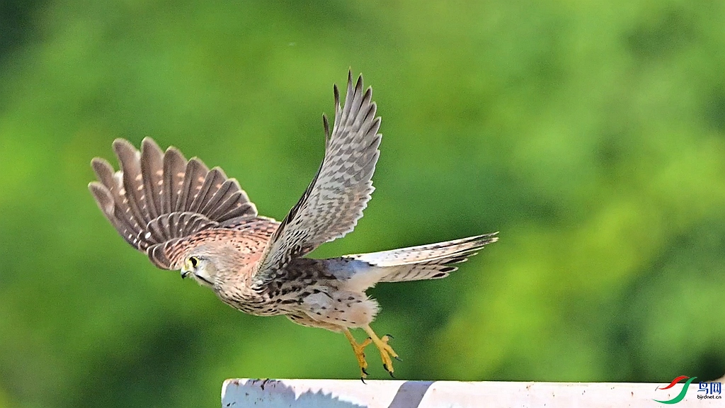 DSC_5712.JPG