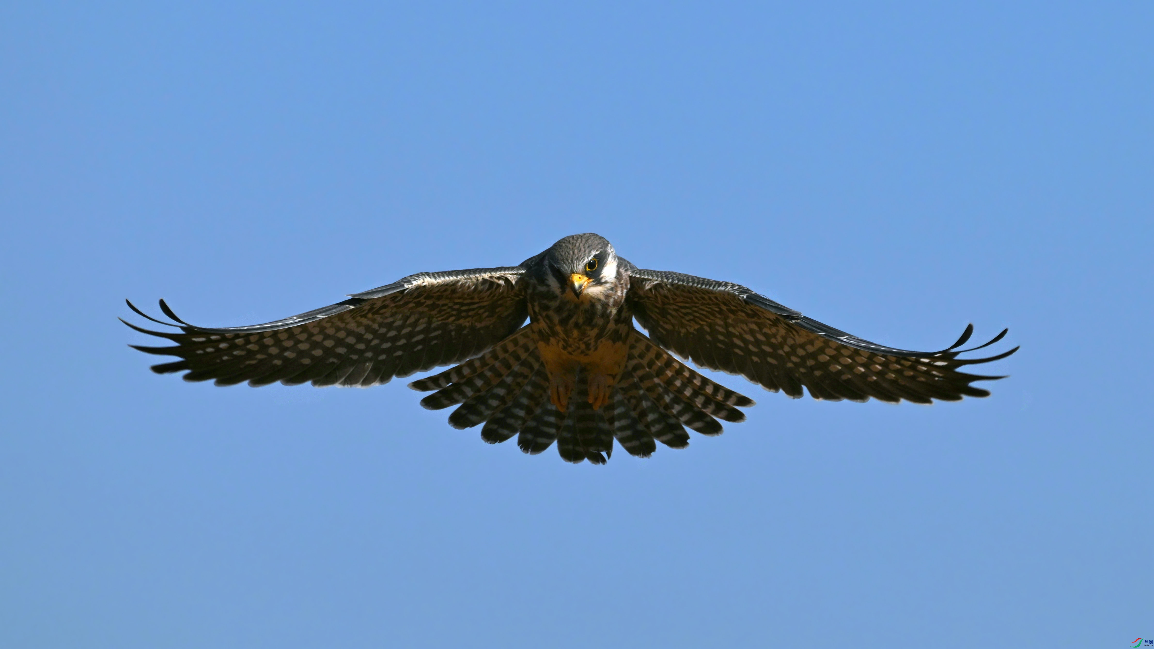 DSC_6940.JPG