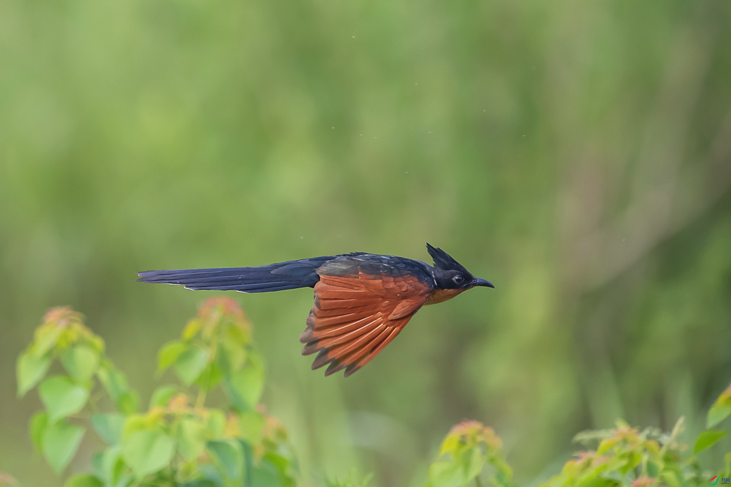 DSC_5981.jpg