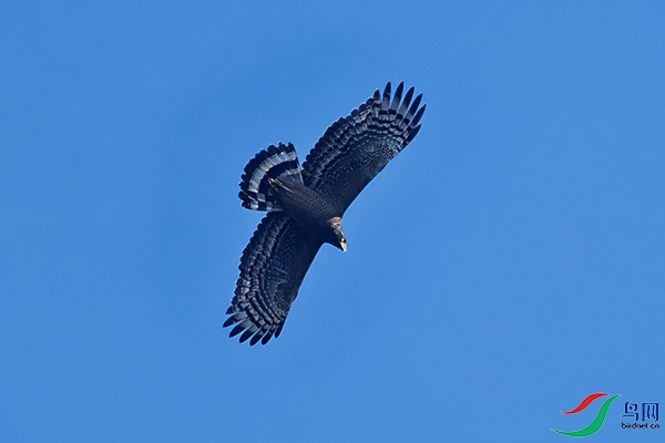 DSC_0888a.jpg