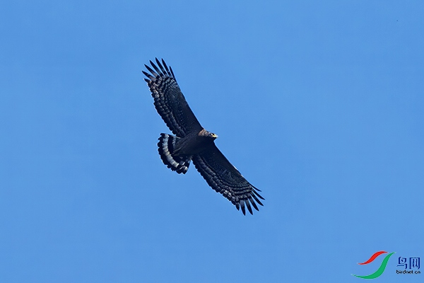 DSC_0873a.jpg