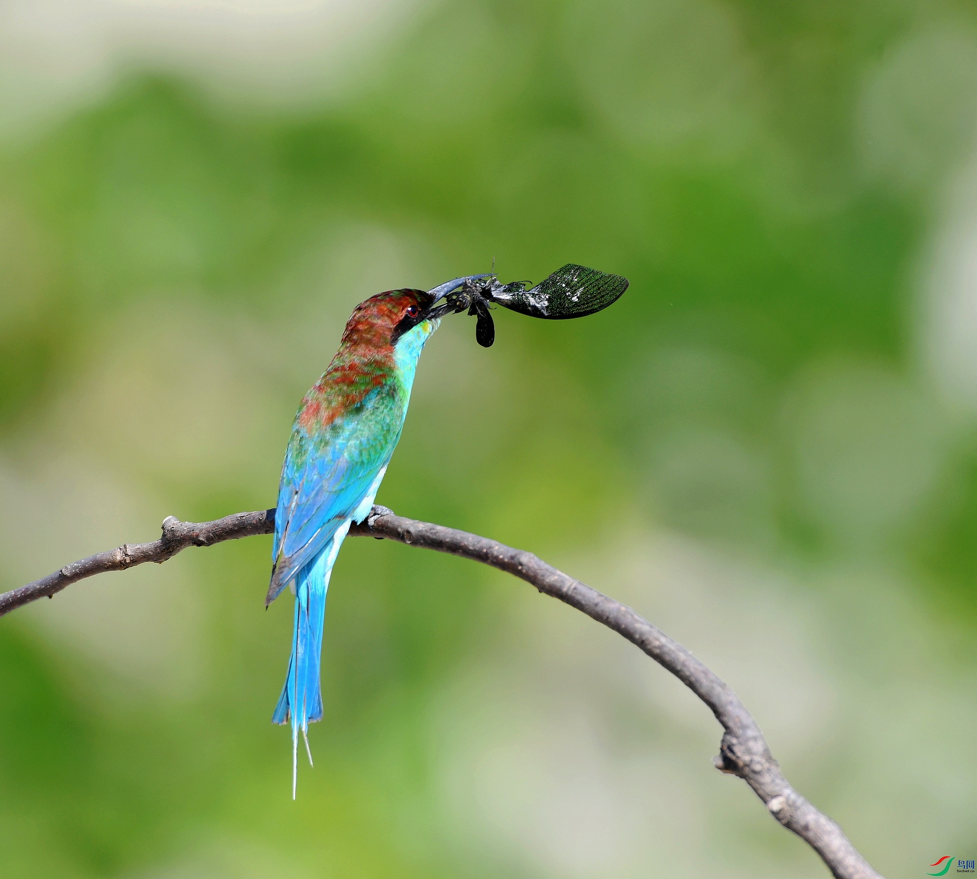 DSC_5347.jpg