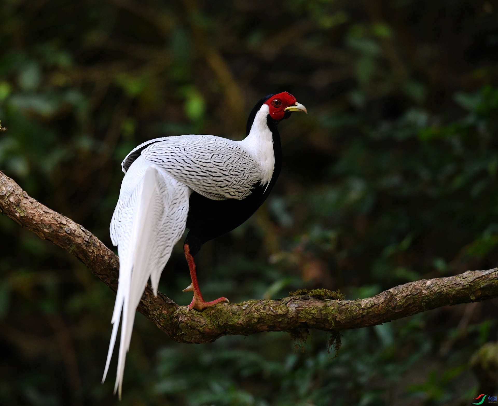 DSC_6390.jpg