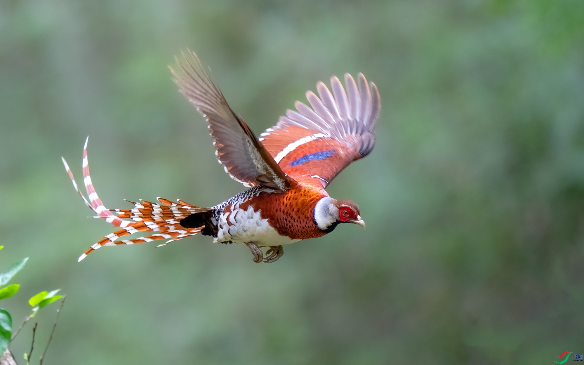 DSC05179.jpg