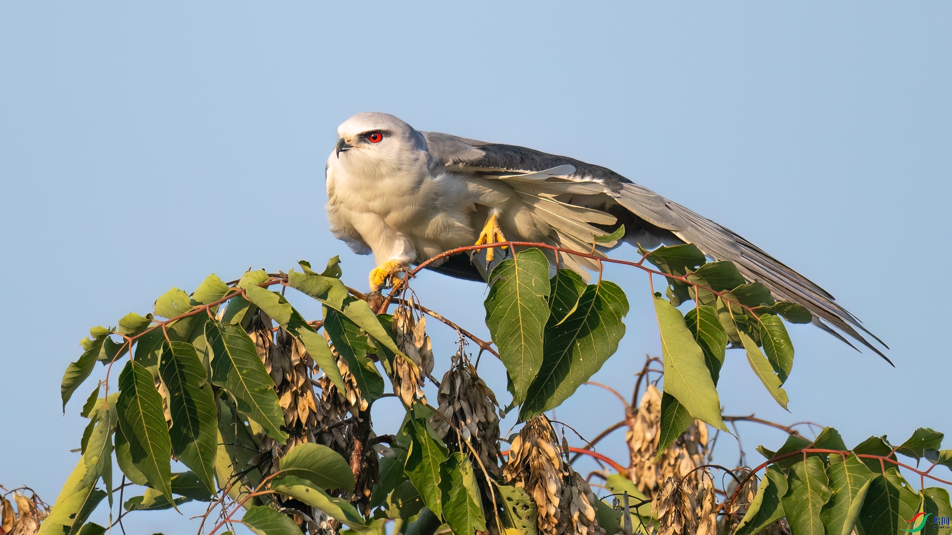 DSC_3764sen2026-9-22-24-�༭.jpg