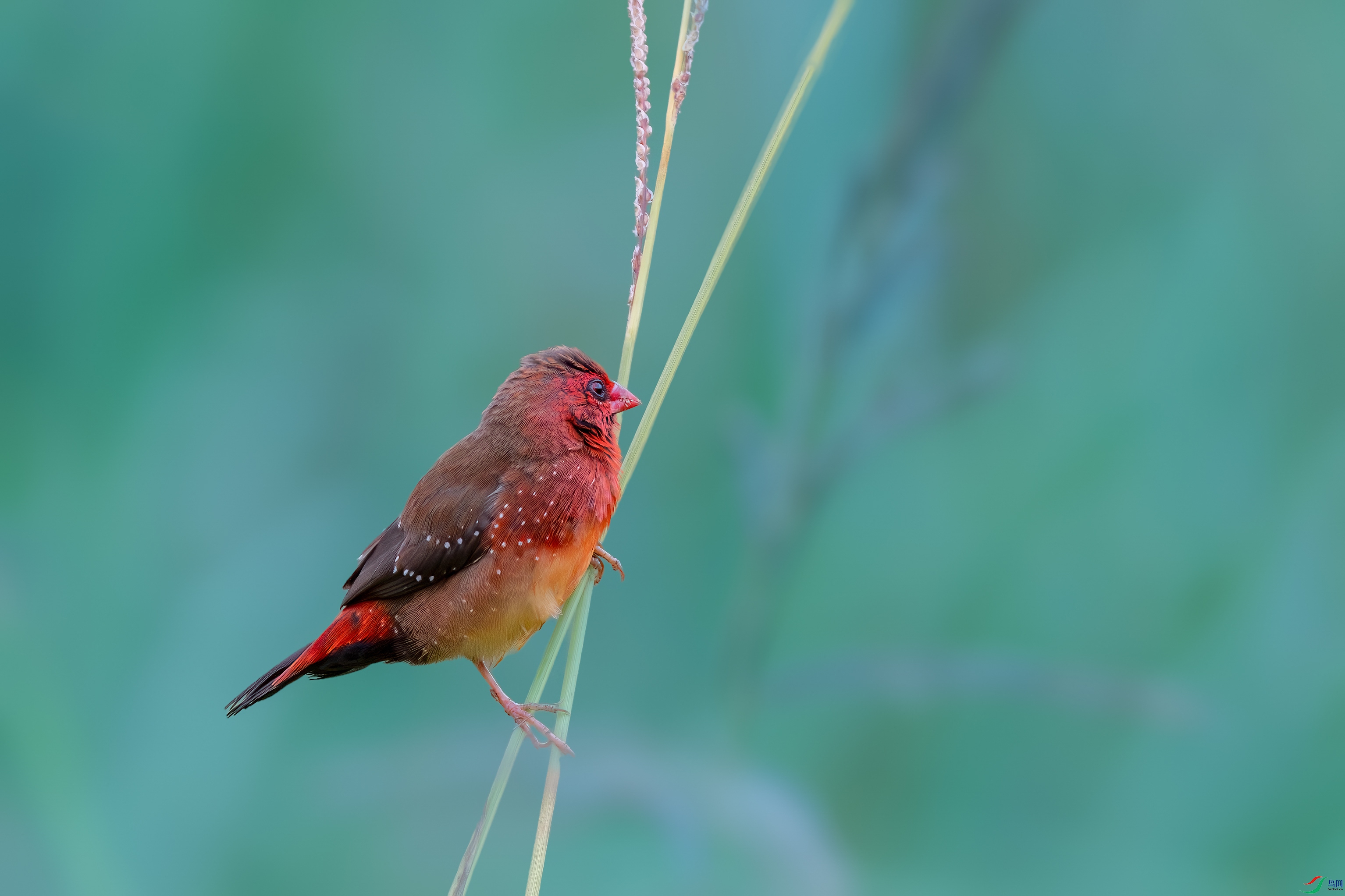 _DSC6329-3-1.jpg