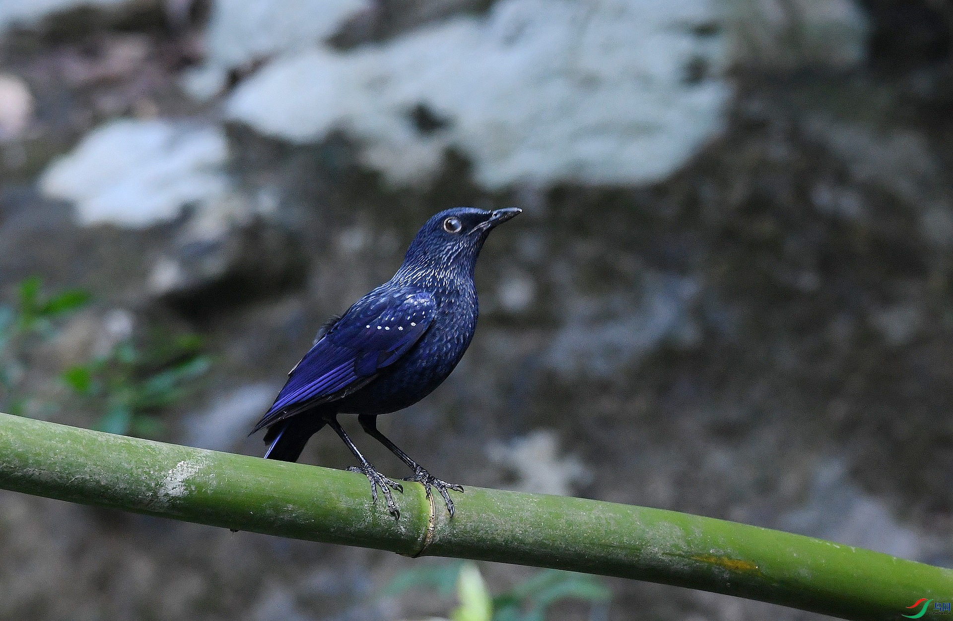 DSC_6907.jpg