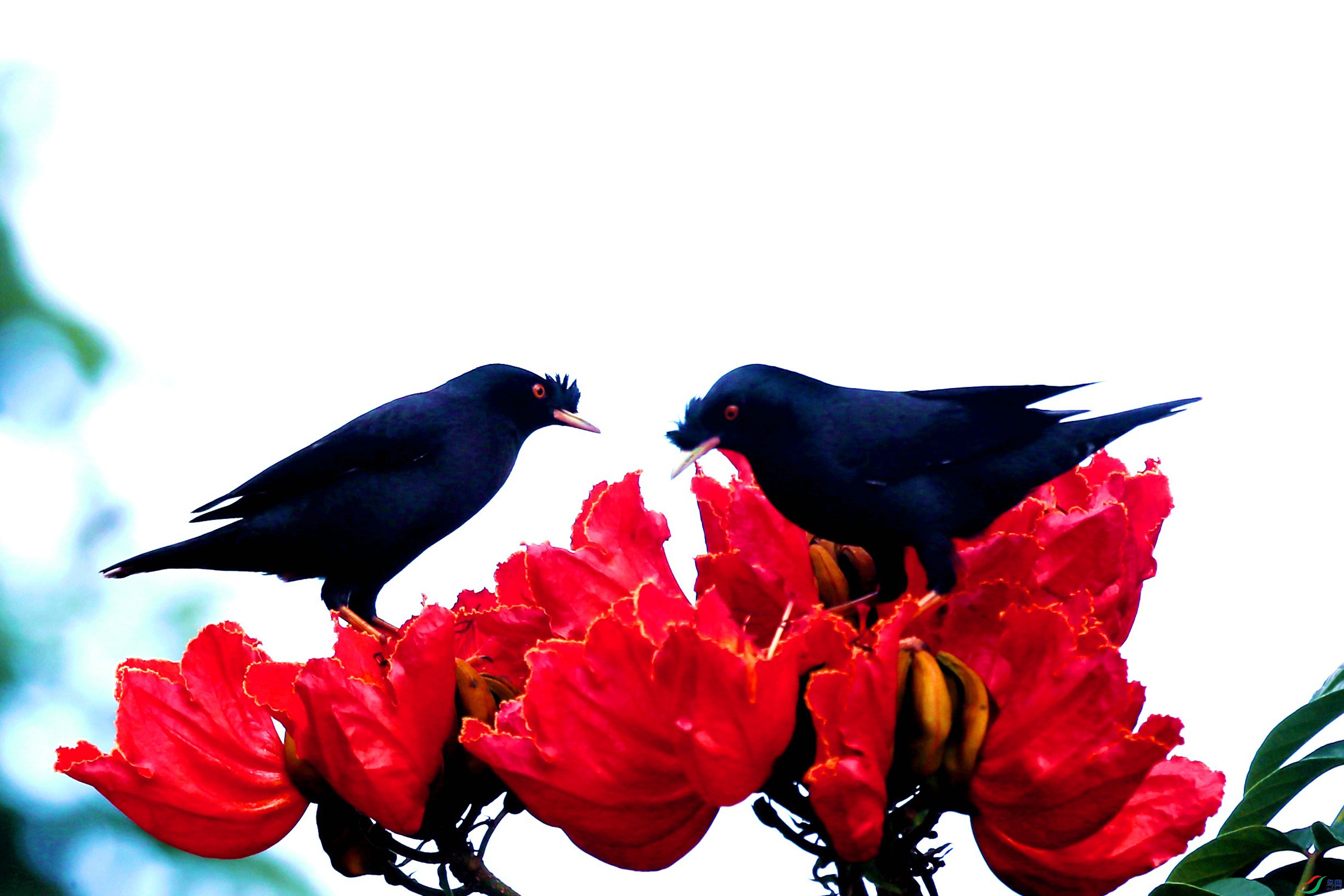 B83I9716.JPG