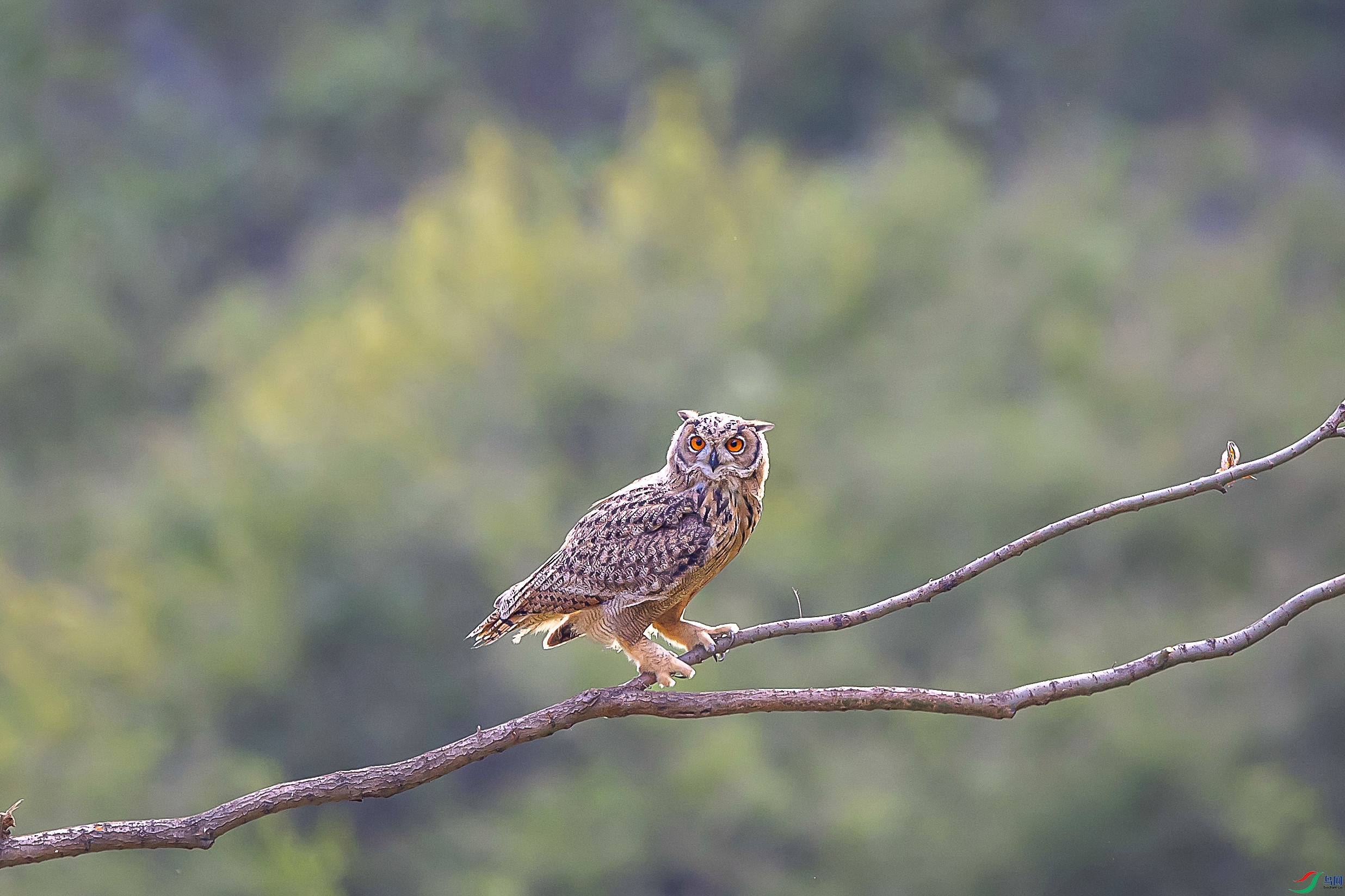 DSC_2124.jpg