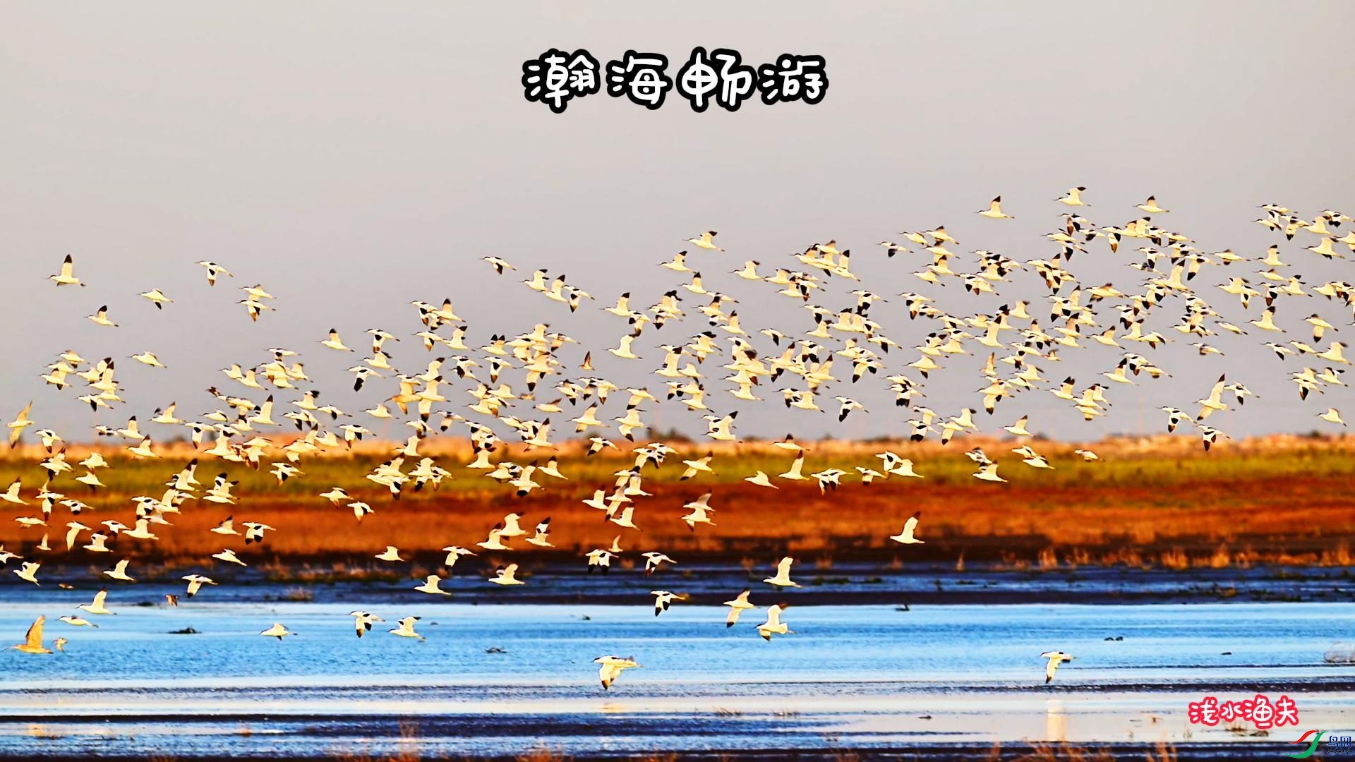 10��15�� (1)-����.jpg