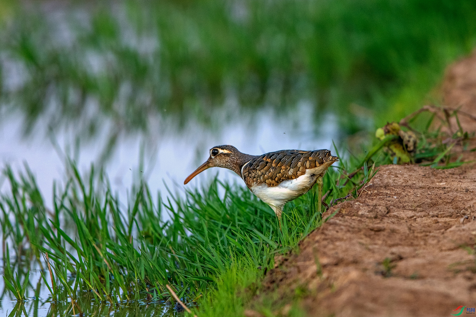 _AUU3710����(24.5.7).jpg