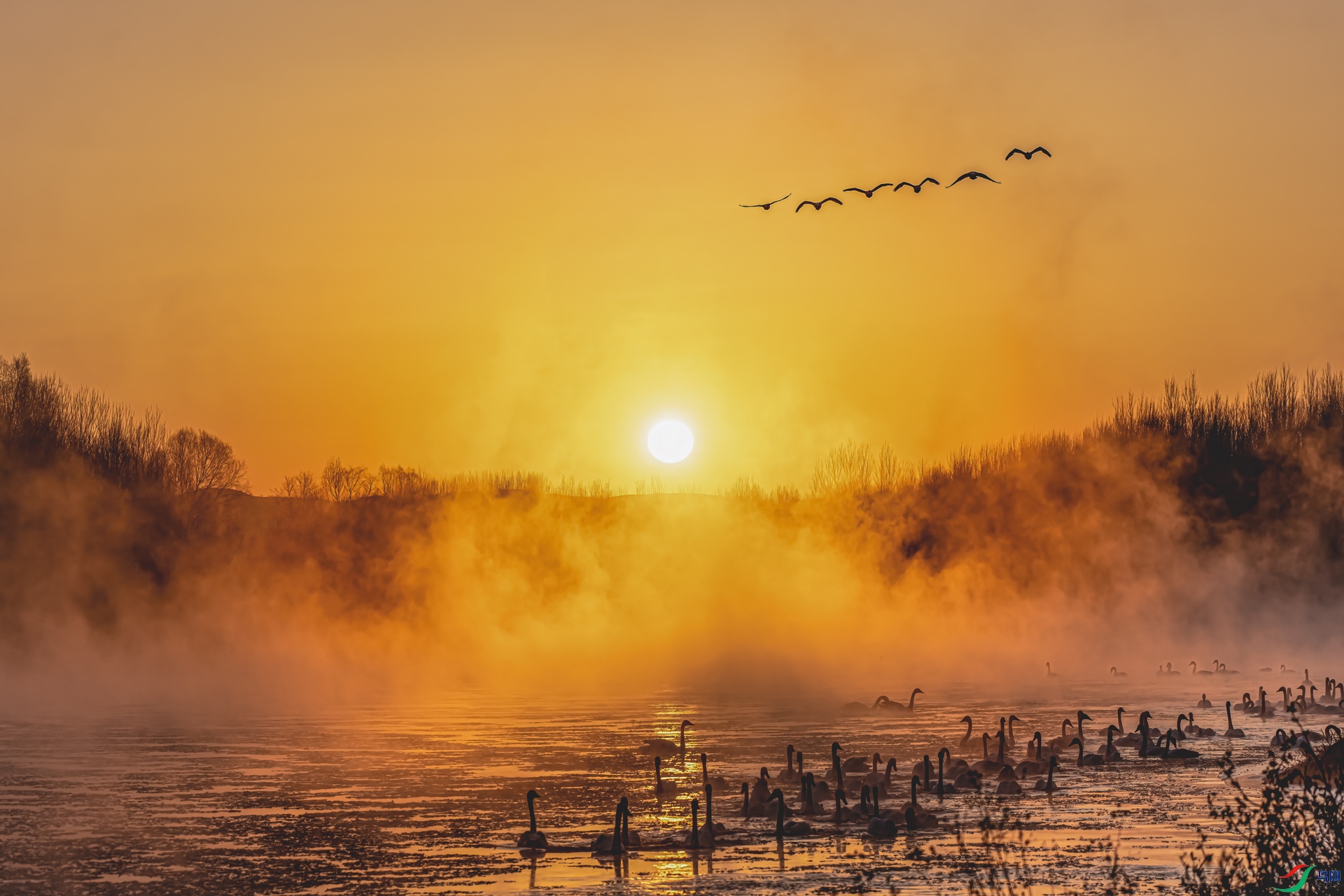 _DSC1084-�༭С.jpg