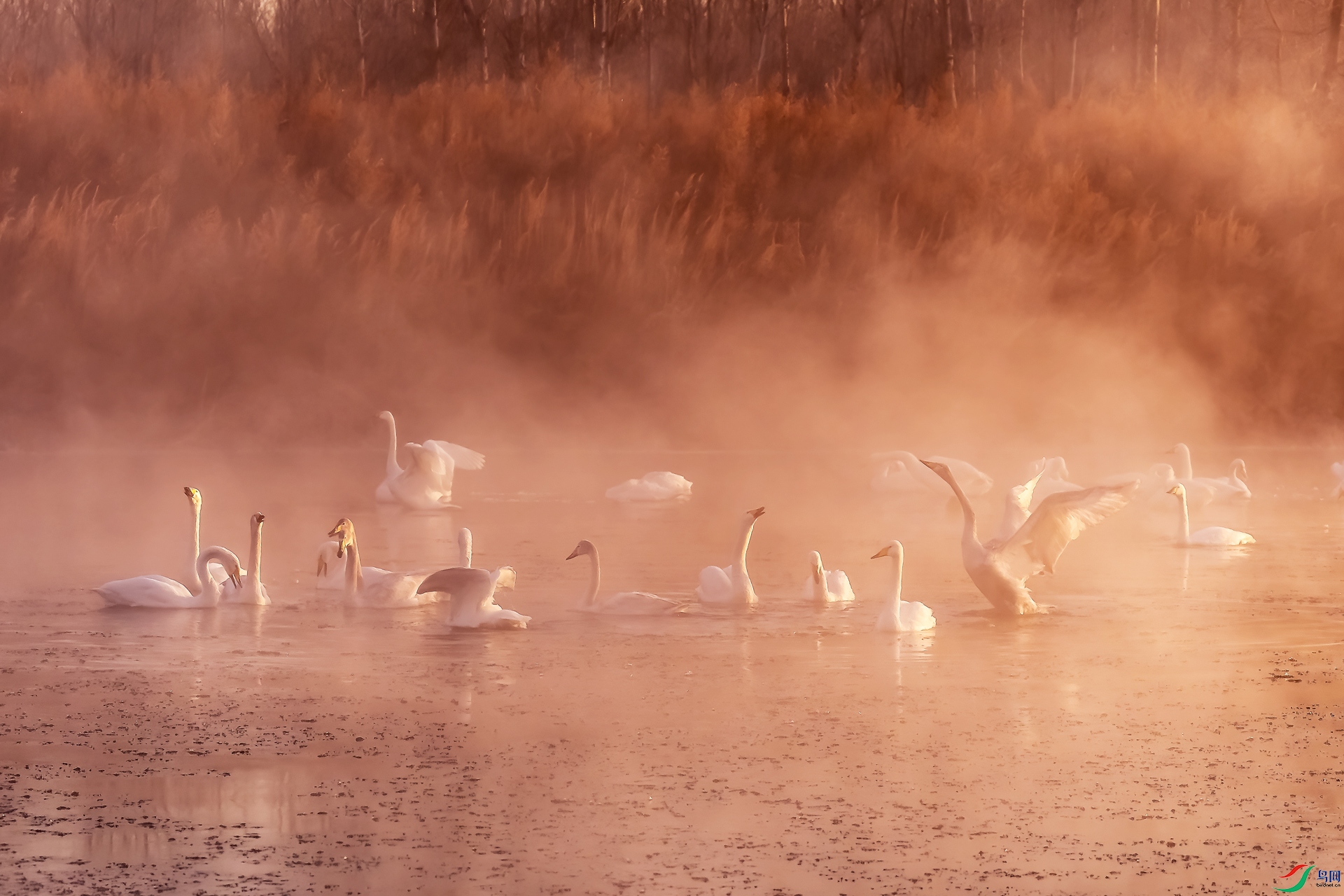 _DSC7951-�༭С.jpg