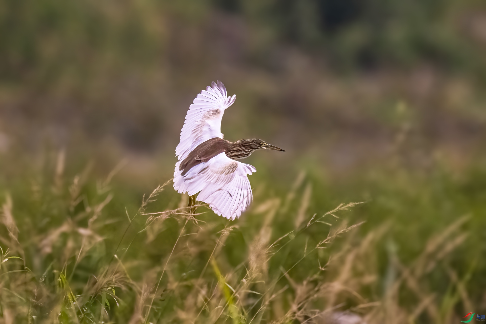 DSC_3925.jpg