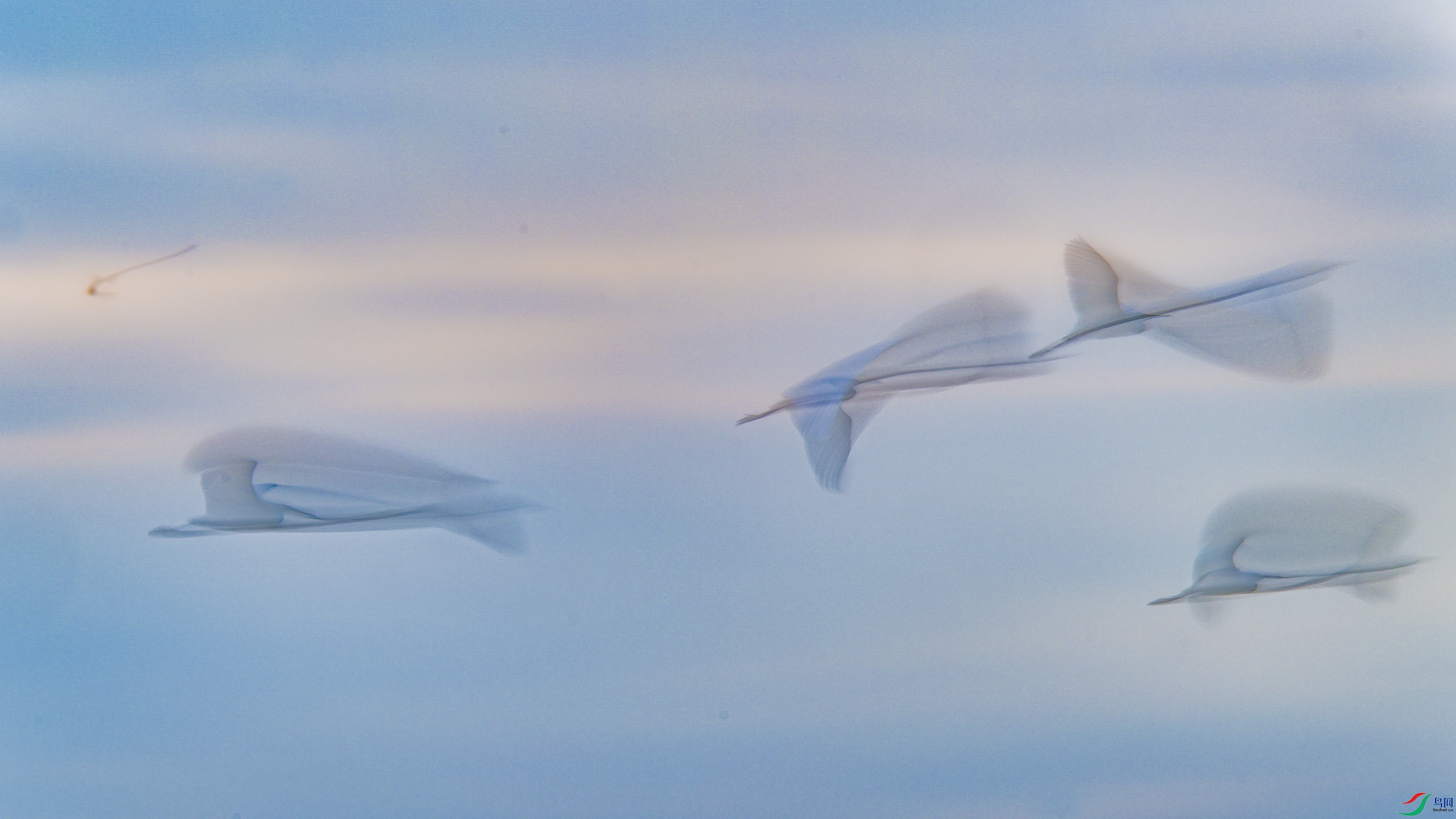 DSC_8800_DxO.jpg