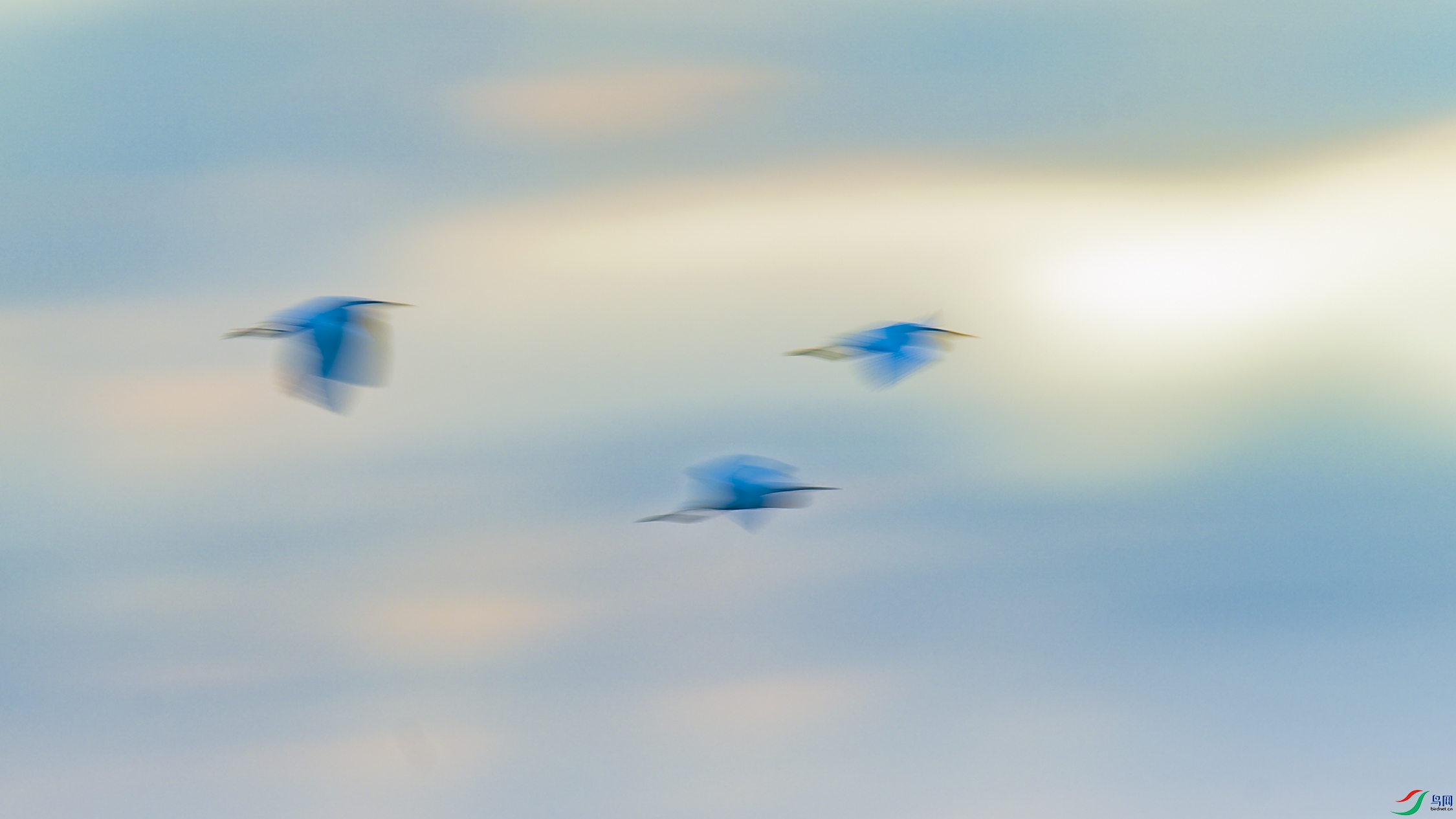 DSC_8787_DxO.jpg