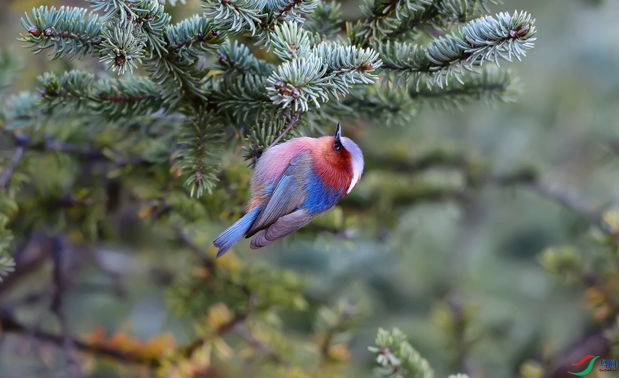 DSC_93832.jpg