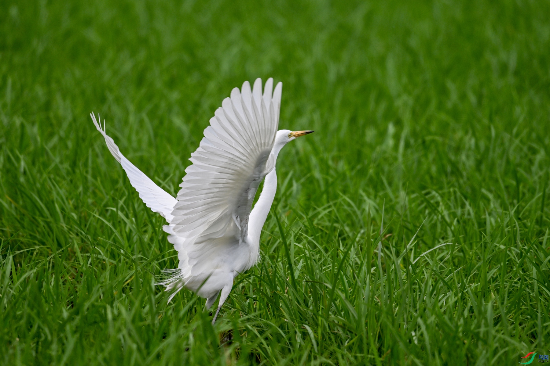 DSC_8425.JPG