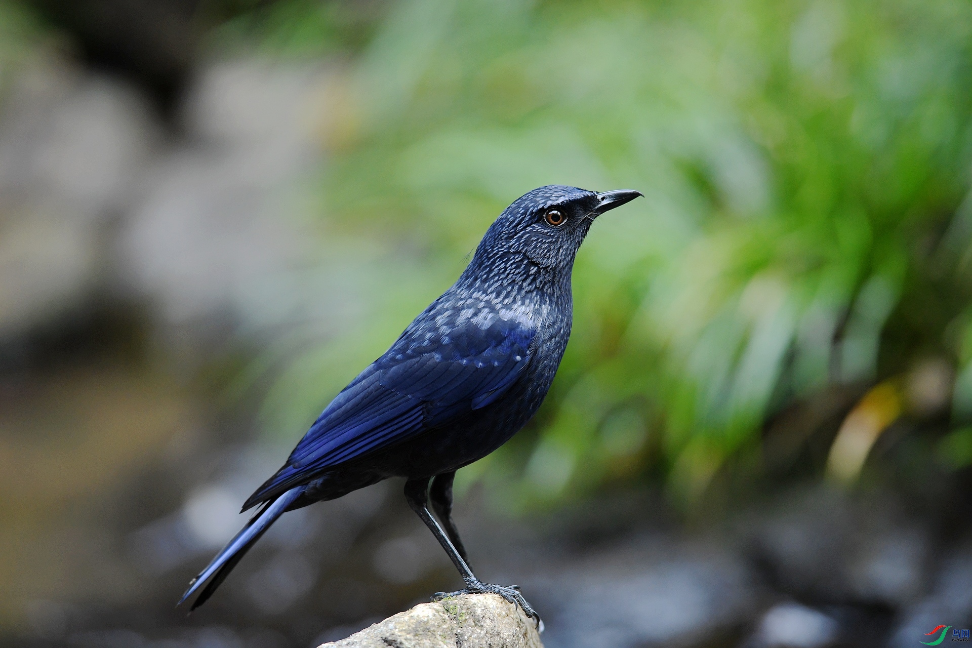 DSC_8118.jpg