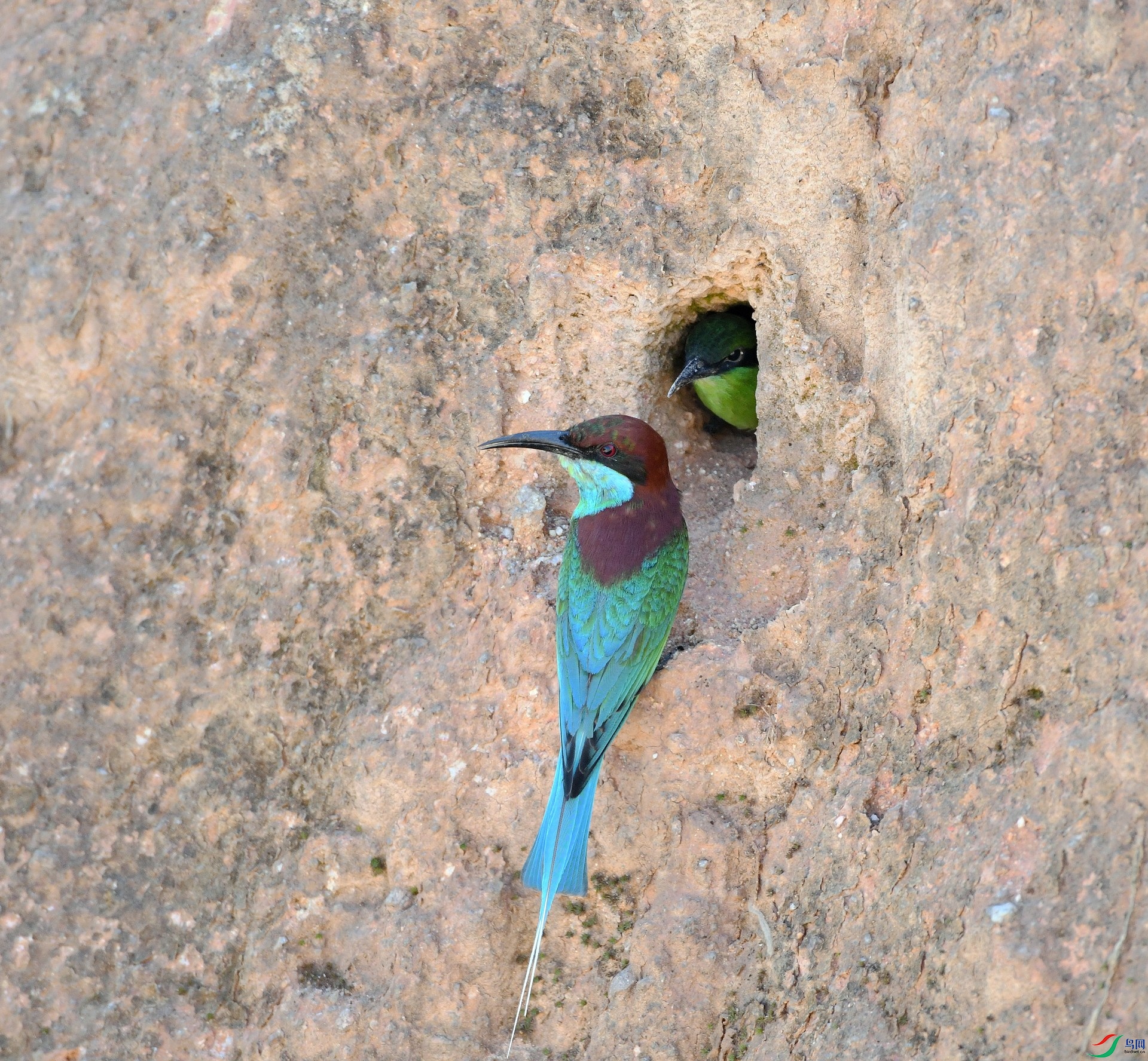 DSC_8105.jpg
