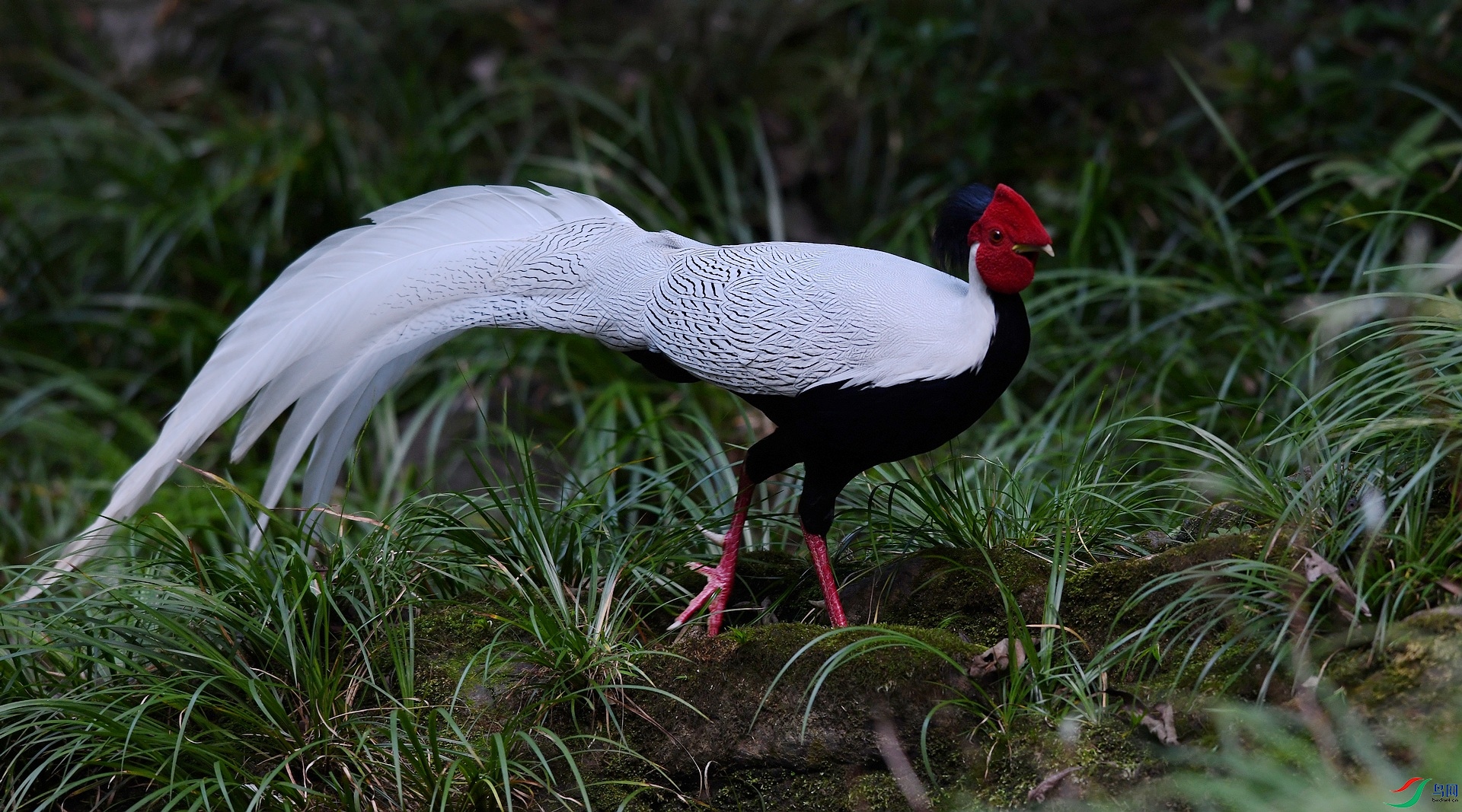 DSC_6729.jpg