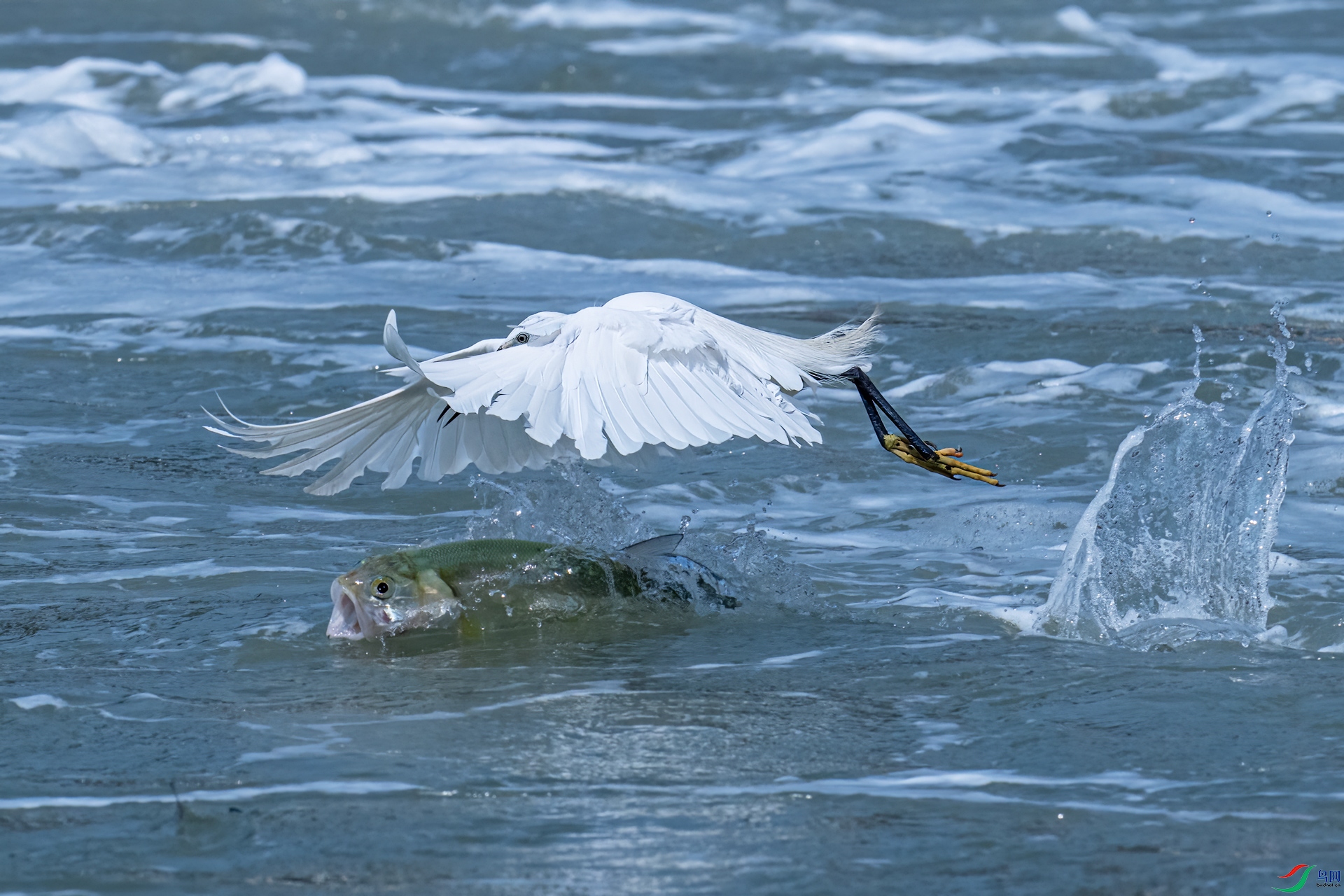 DSC_0856.jpg