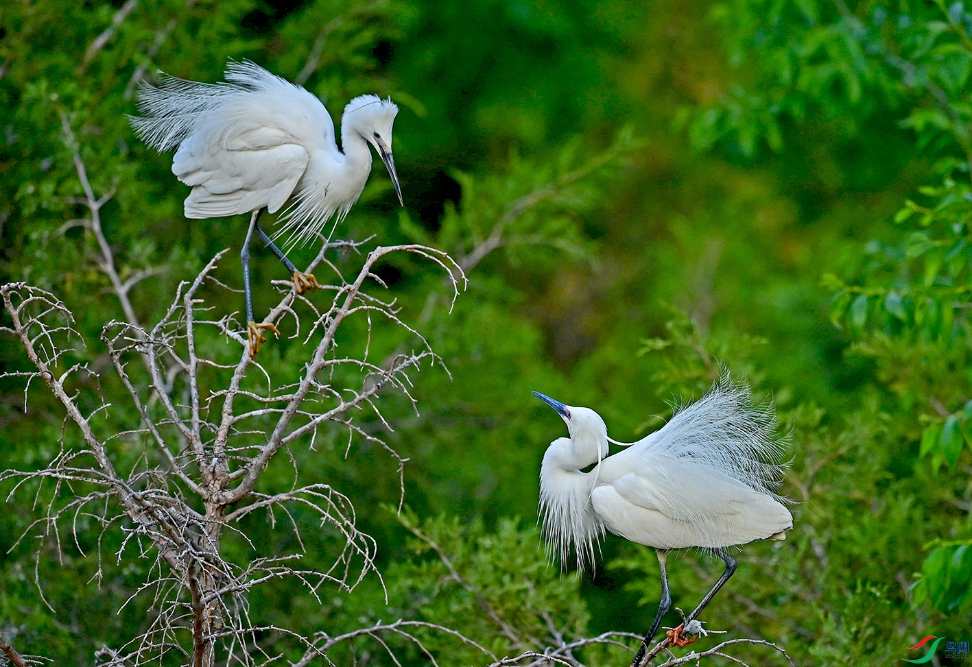 DSC_3352.jpg