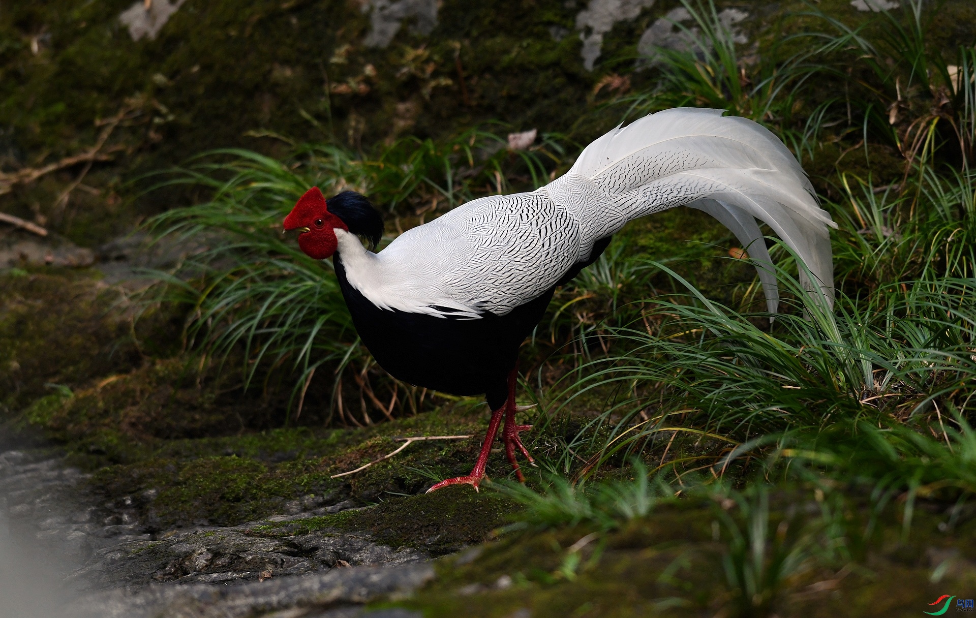 DSC_6718.jpg