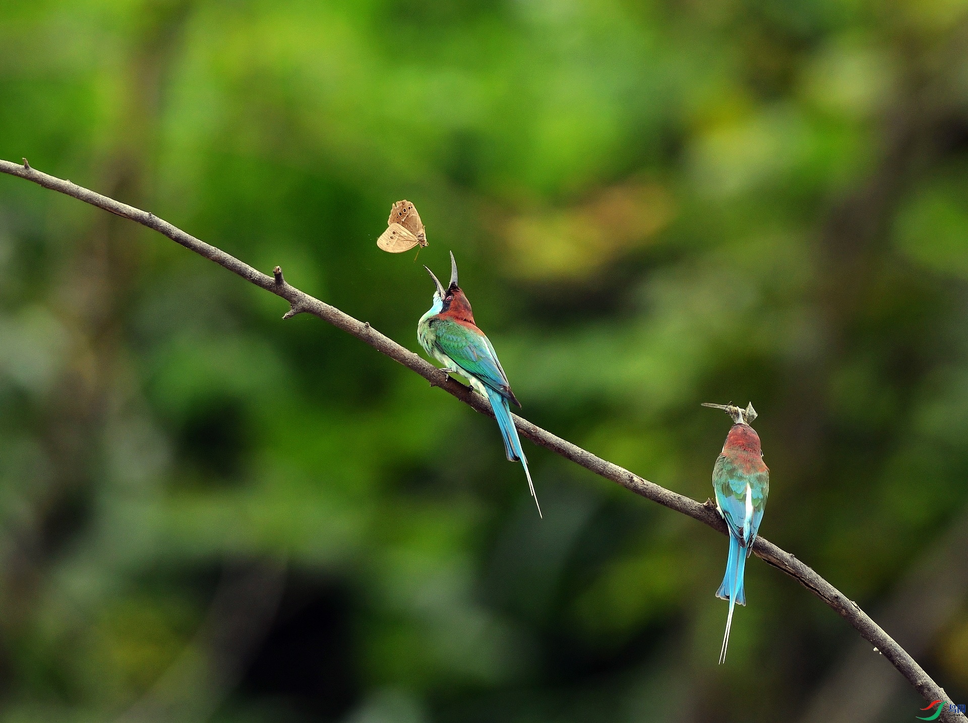 DSC_6684.jpg