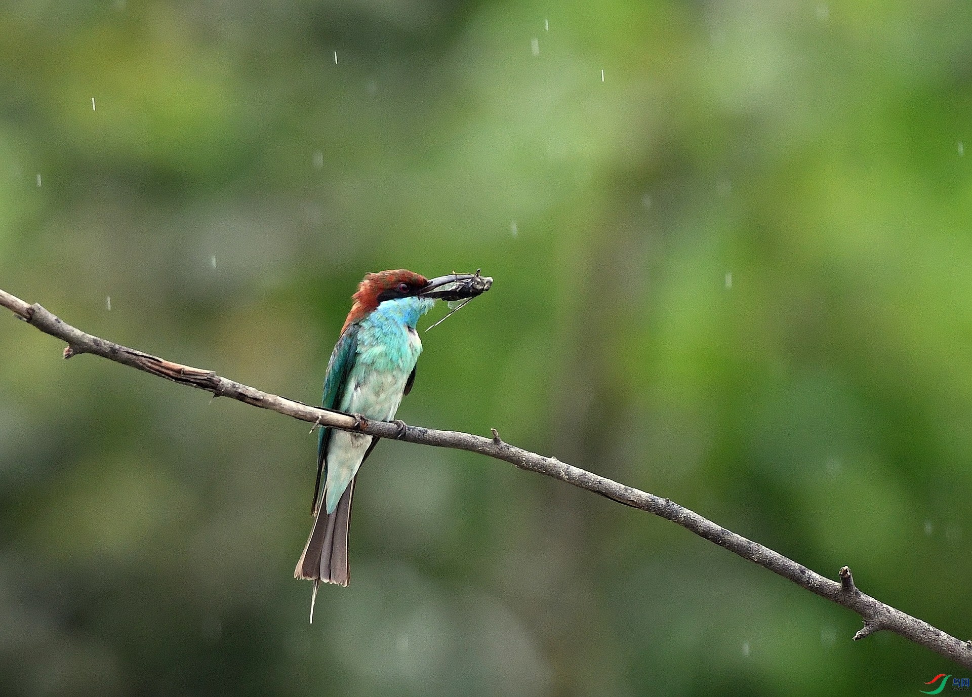 DSC_5634.jpg