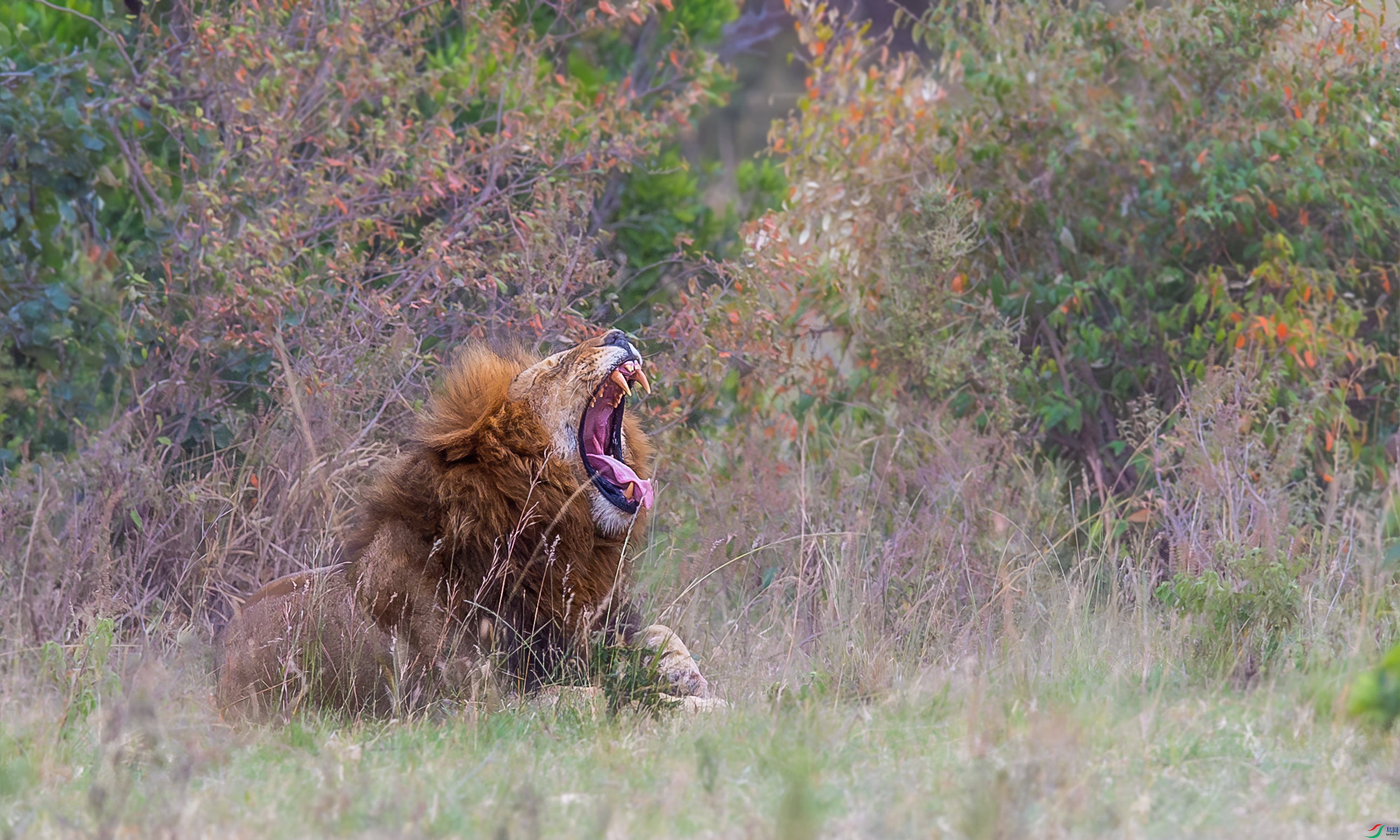 DSC_0589.jpg