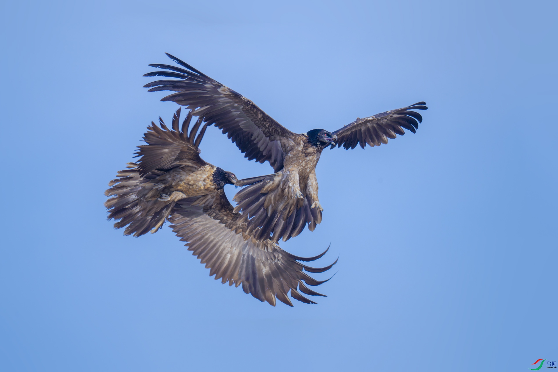 _DSC8722xx.jpg