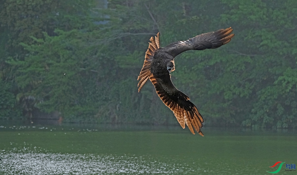 DSCF3542.1.jpg