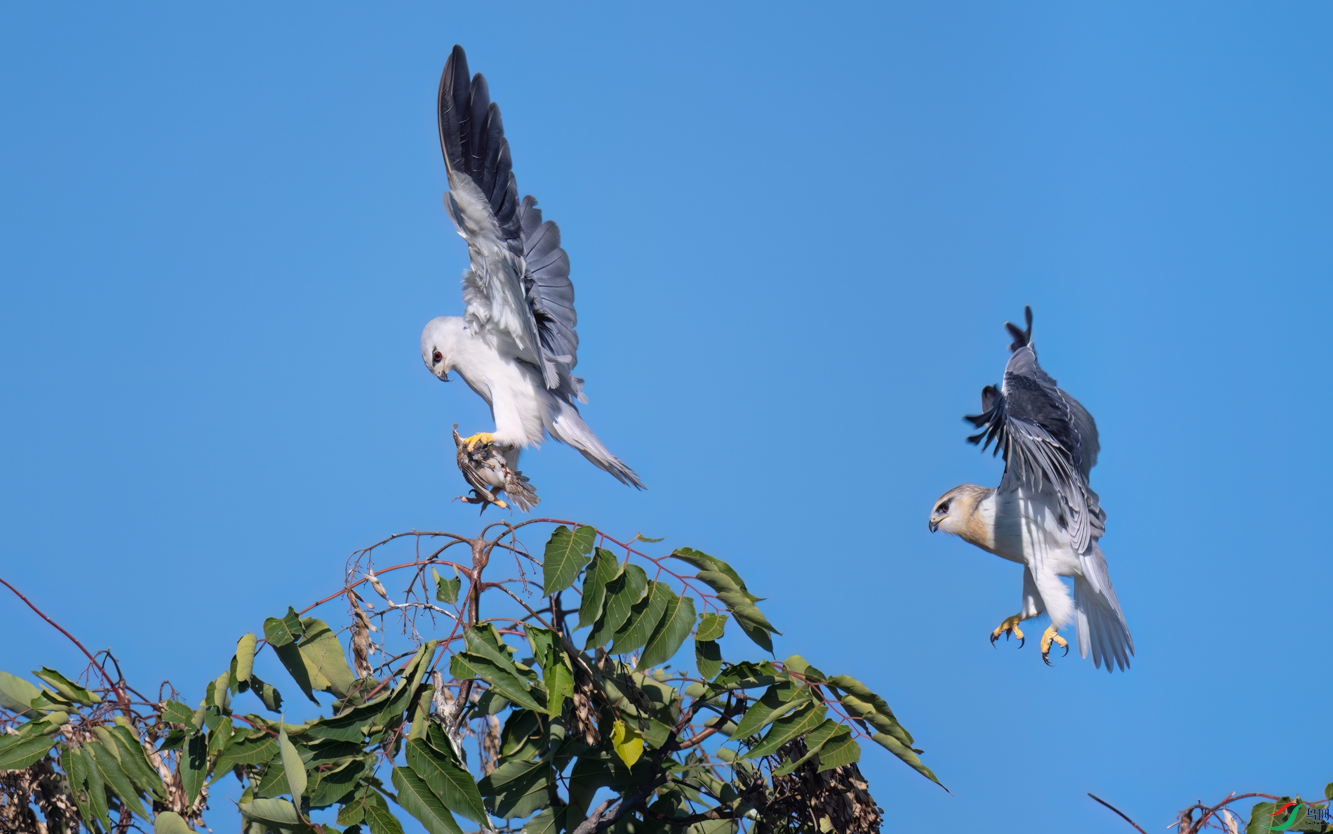 DSC_5154sen2026-10-6-28-�༭.jpg