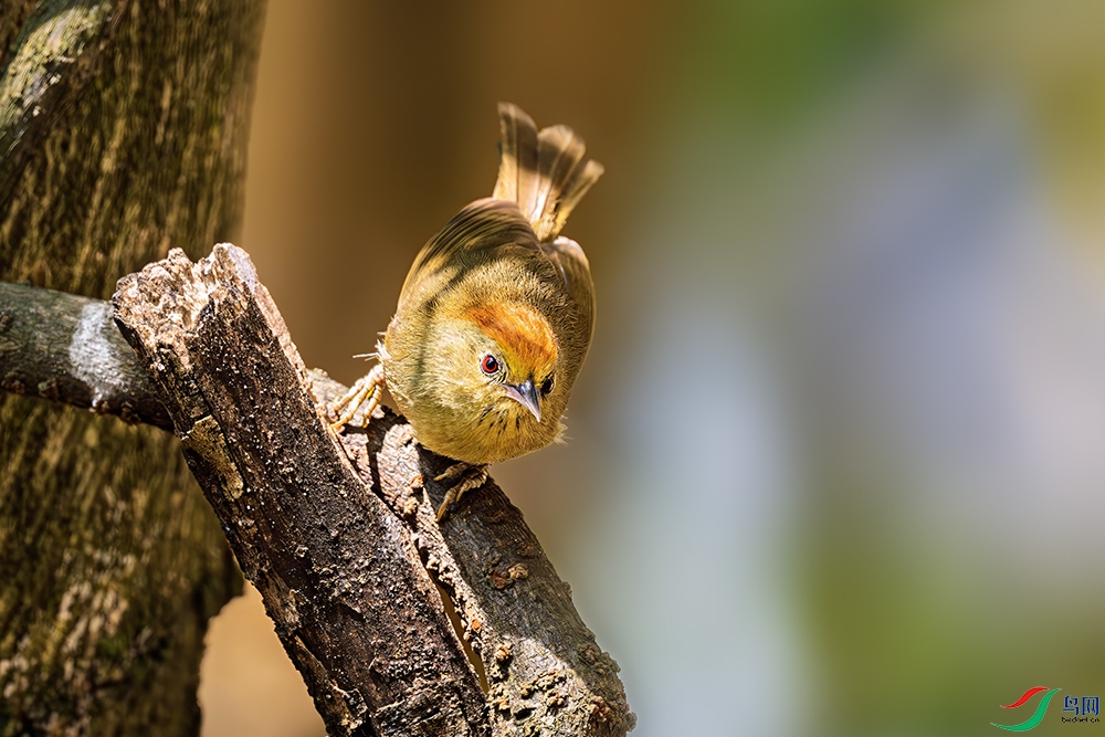 _DSC9562.jpg