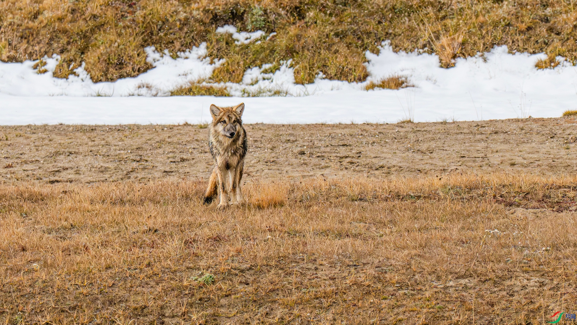 DSC_7916 ����_����.jpg