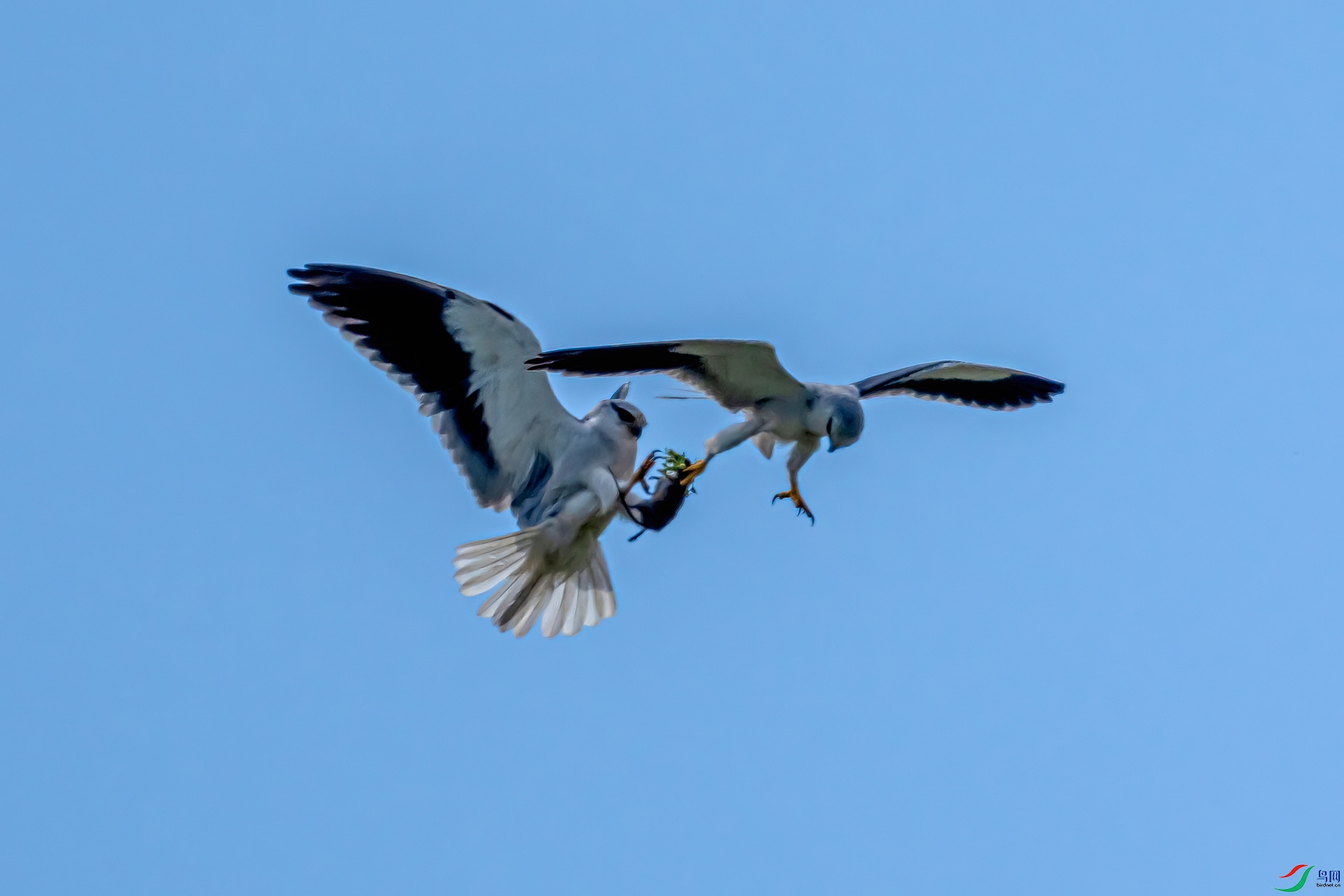 DSC_8129-11.jpg