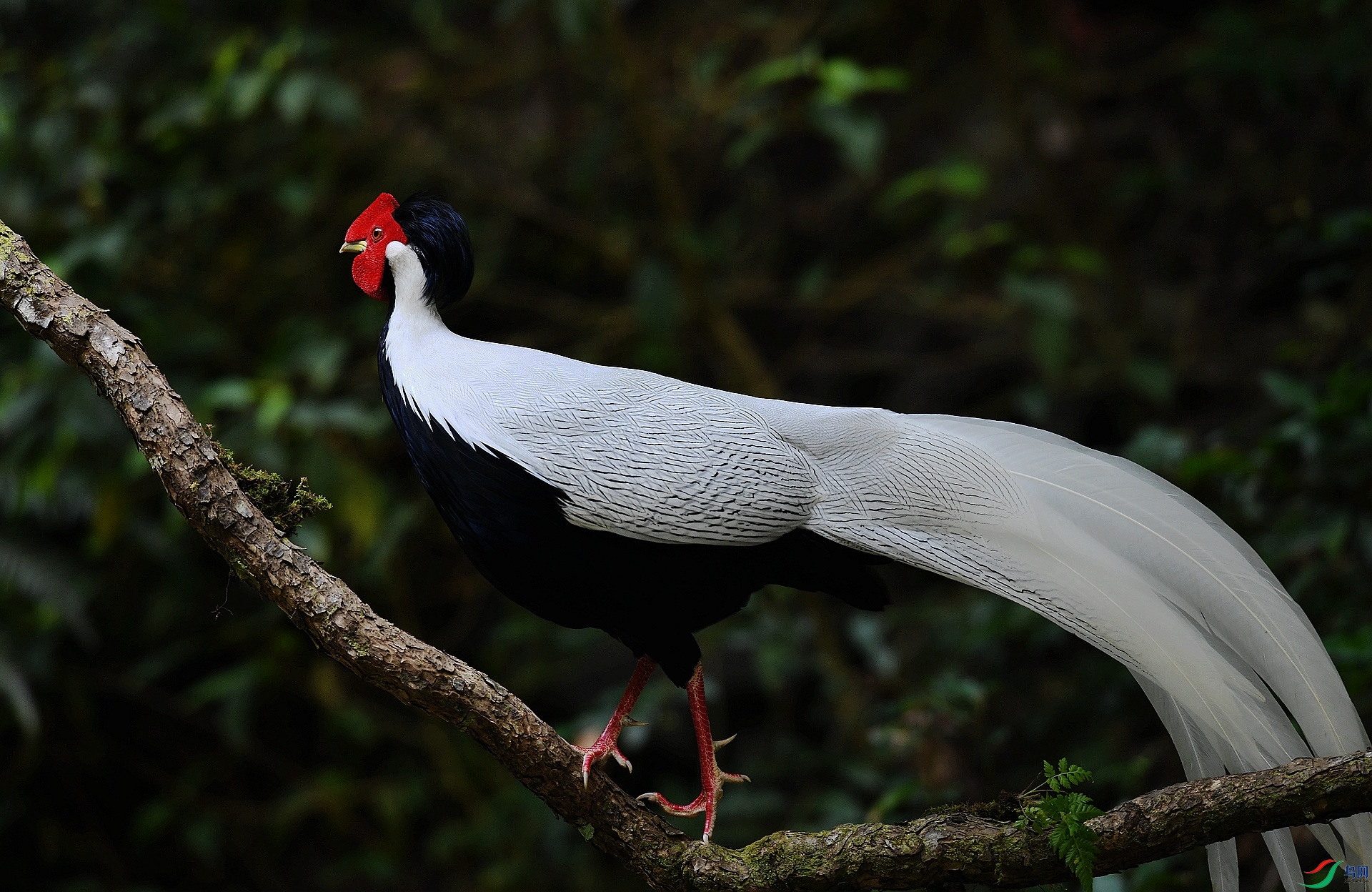 DSC_0221.jpg