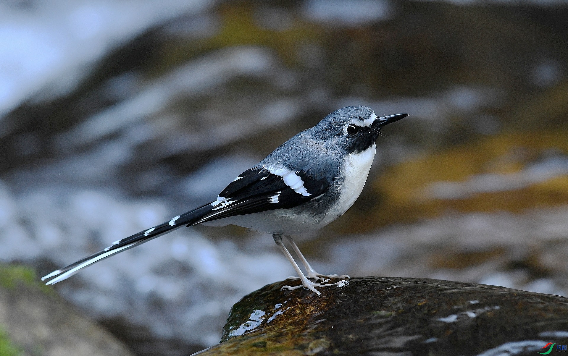 DSC_8513.jpg