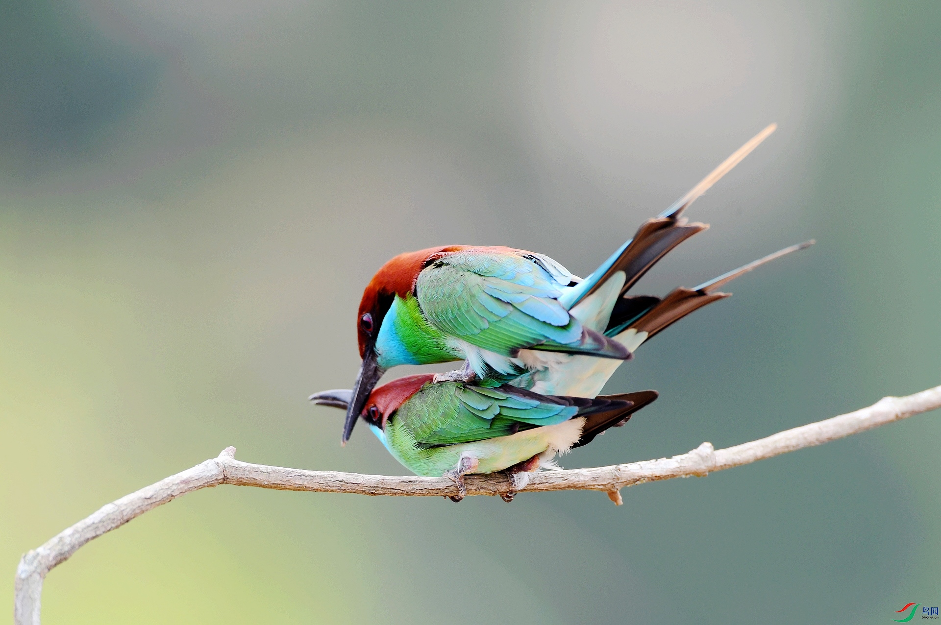 DSC_3942.jpg