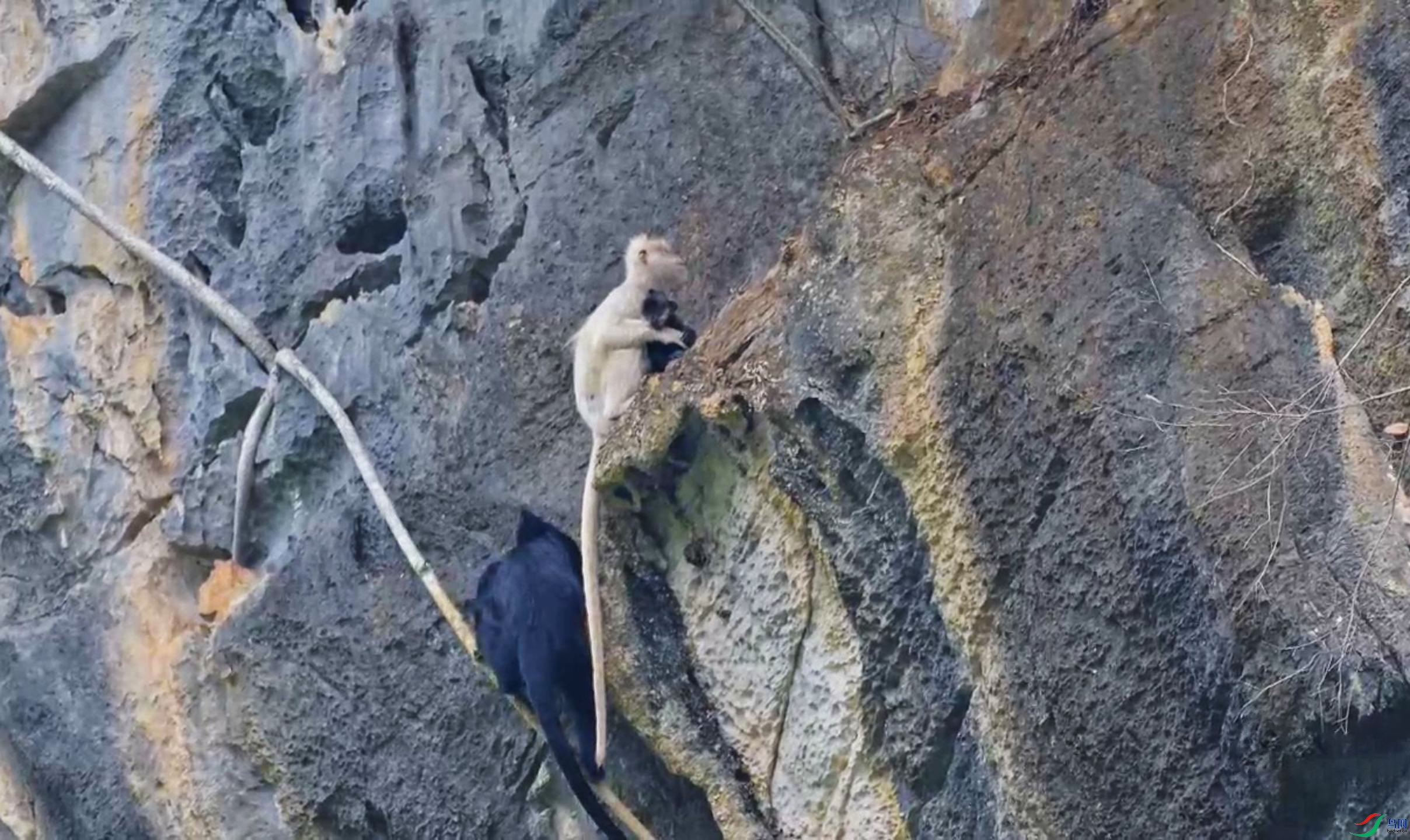 5��17�� (2)-����.jpg