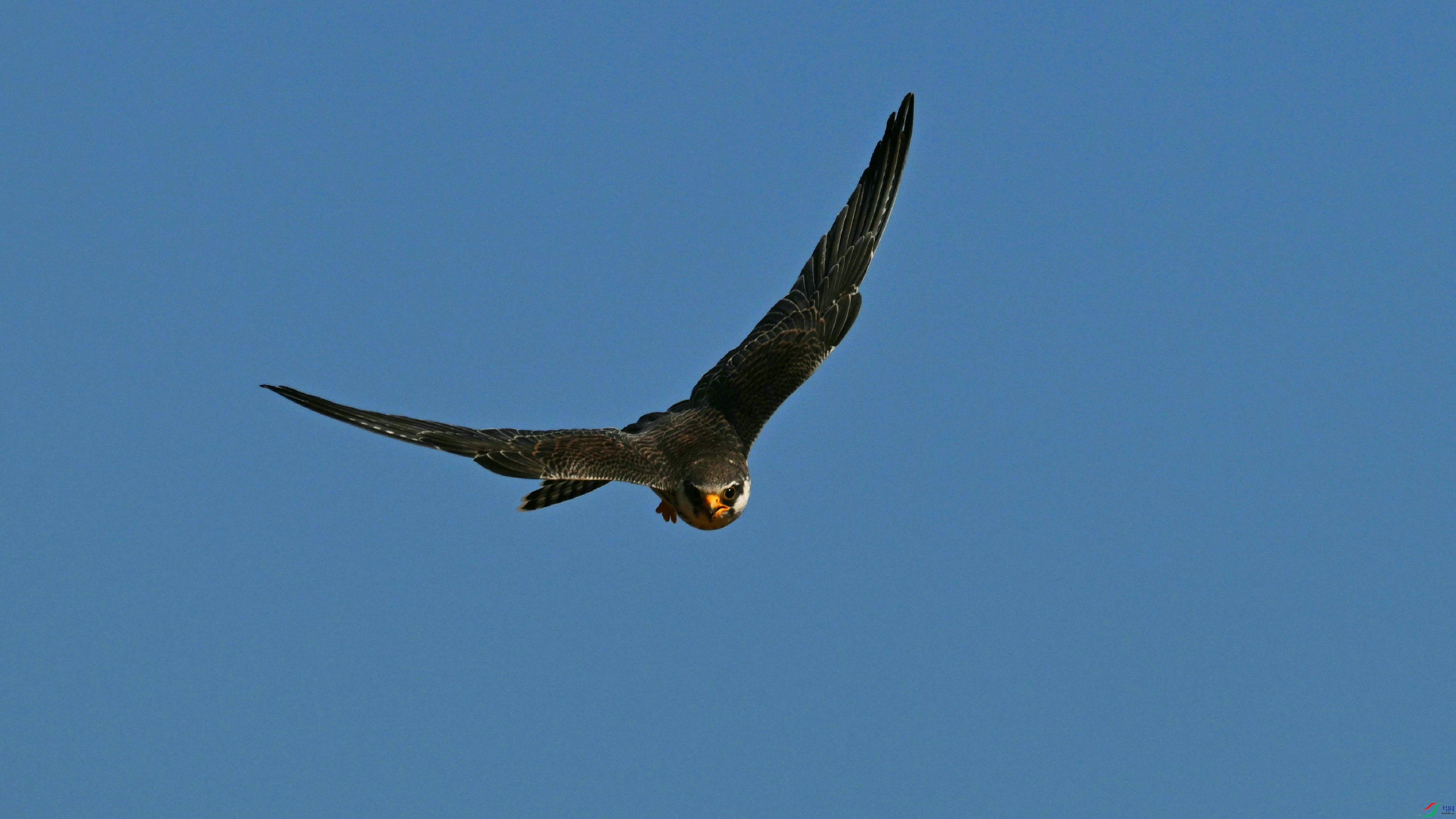 DSC_7148.JPG