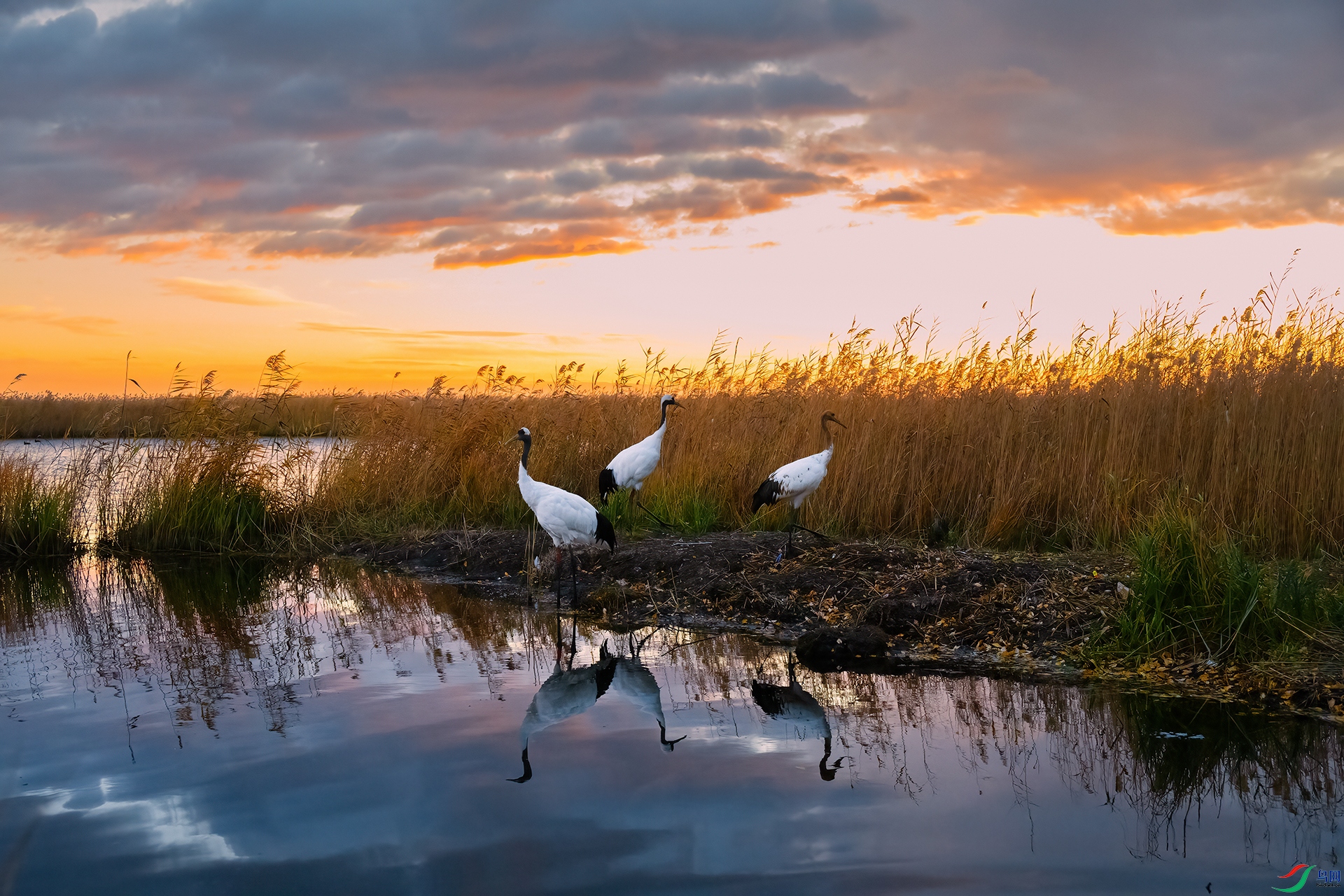 DSC_5645-1.jpg