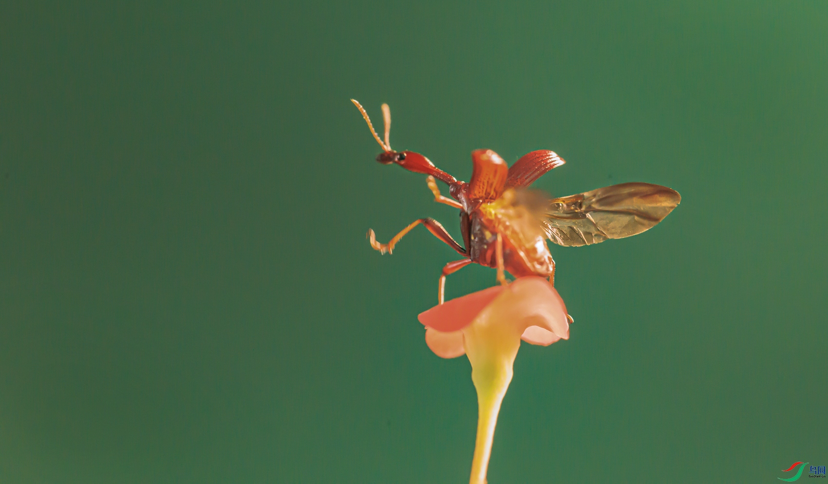 IMGL1388s.jpg