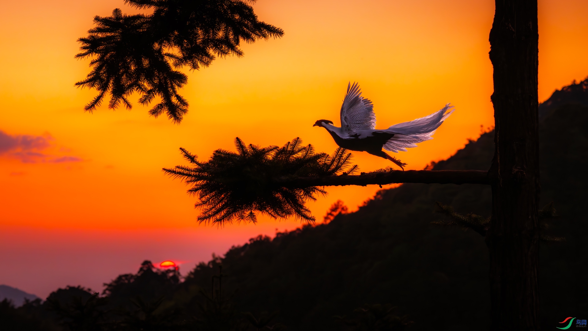 DSC_7299-����ǿ-NR-����-2.jpg